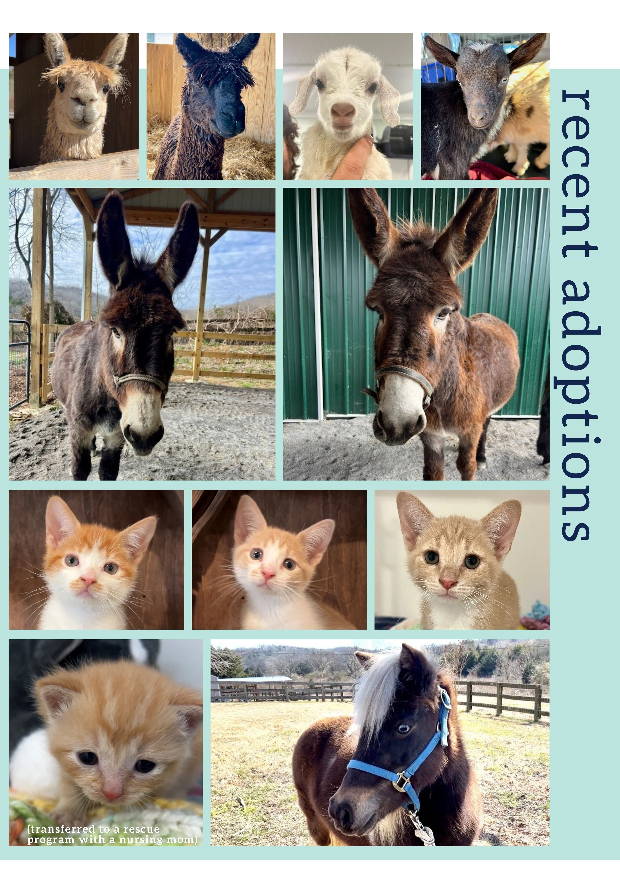 Spring Newsletter