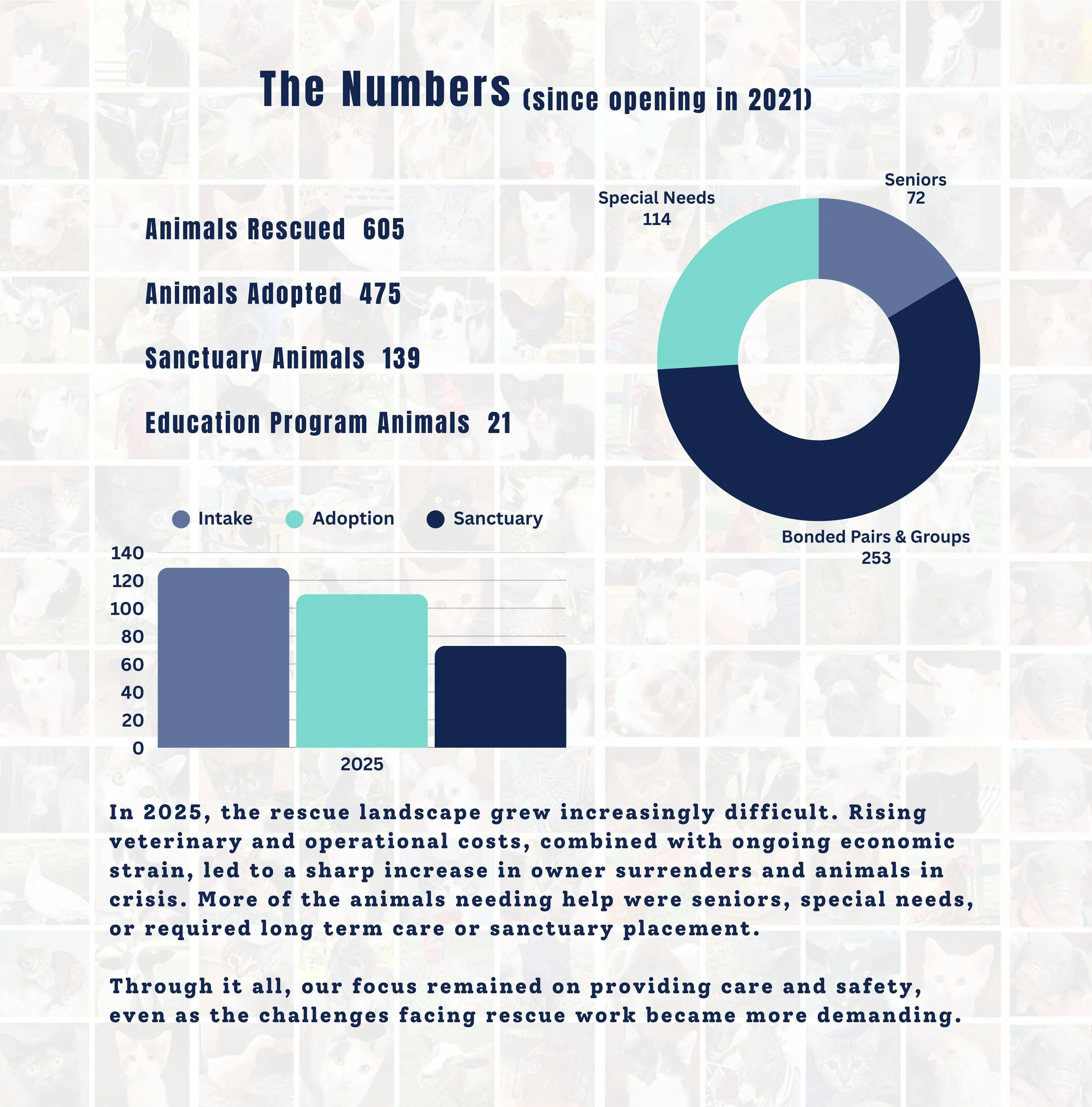 Fabled Farm Winter Newsletter 2025