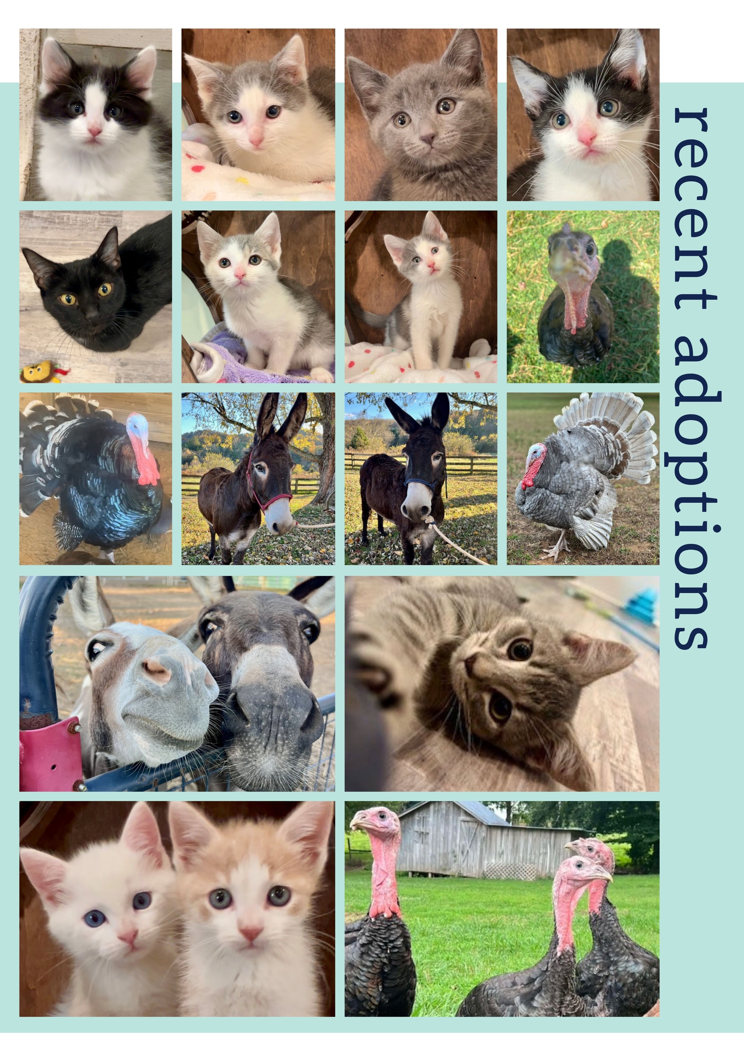 Fabled Farm Winter Newsletter 2025