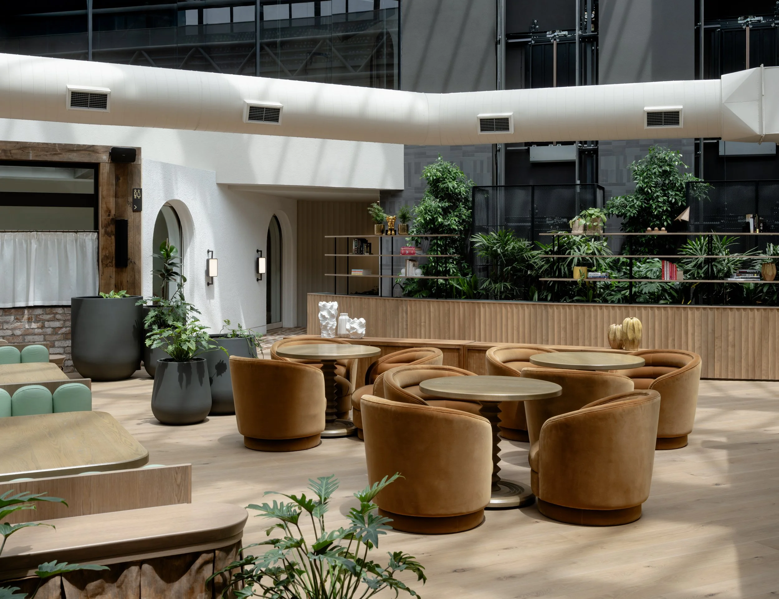 Modern office interior at 2 Luton Lane Hawthorn featuring curved tan lounge seating, timber floors, indoor plants and open breakout space
