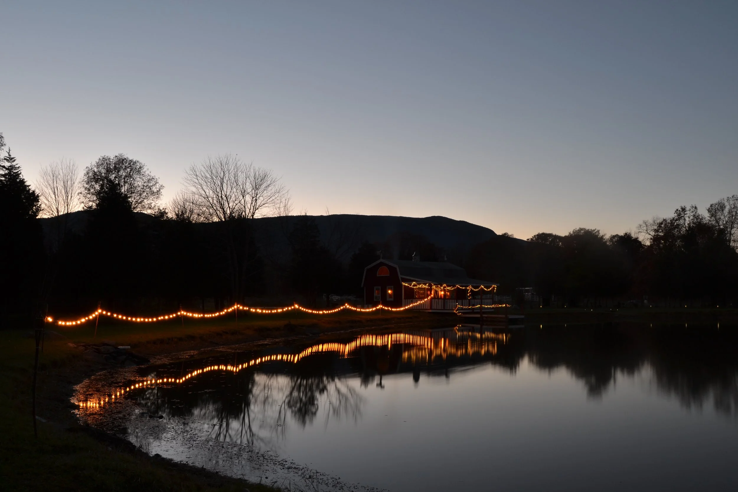 11-03-2013 image 63.JPG