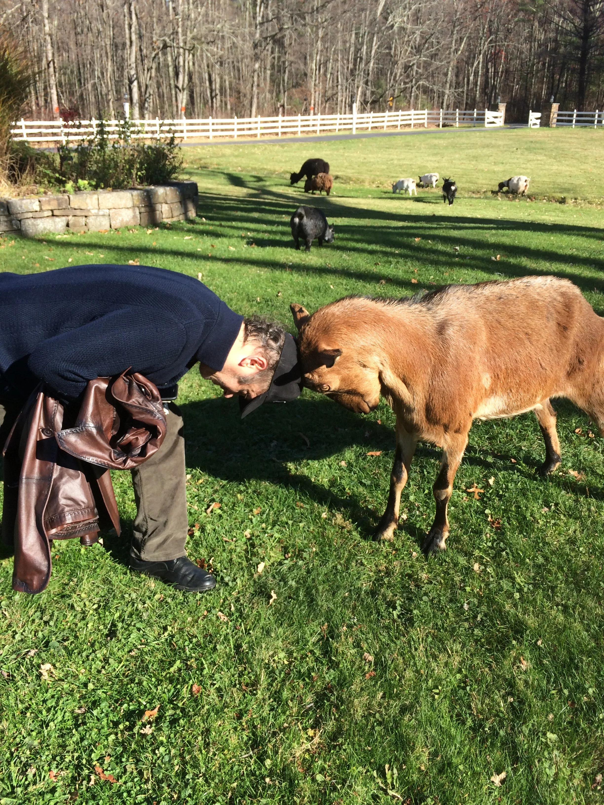 2014-11-08 12.50.03.jpg