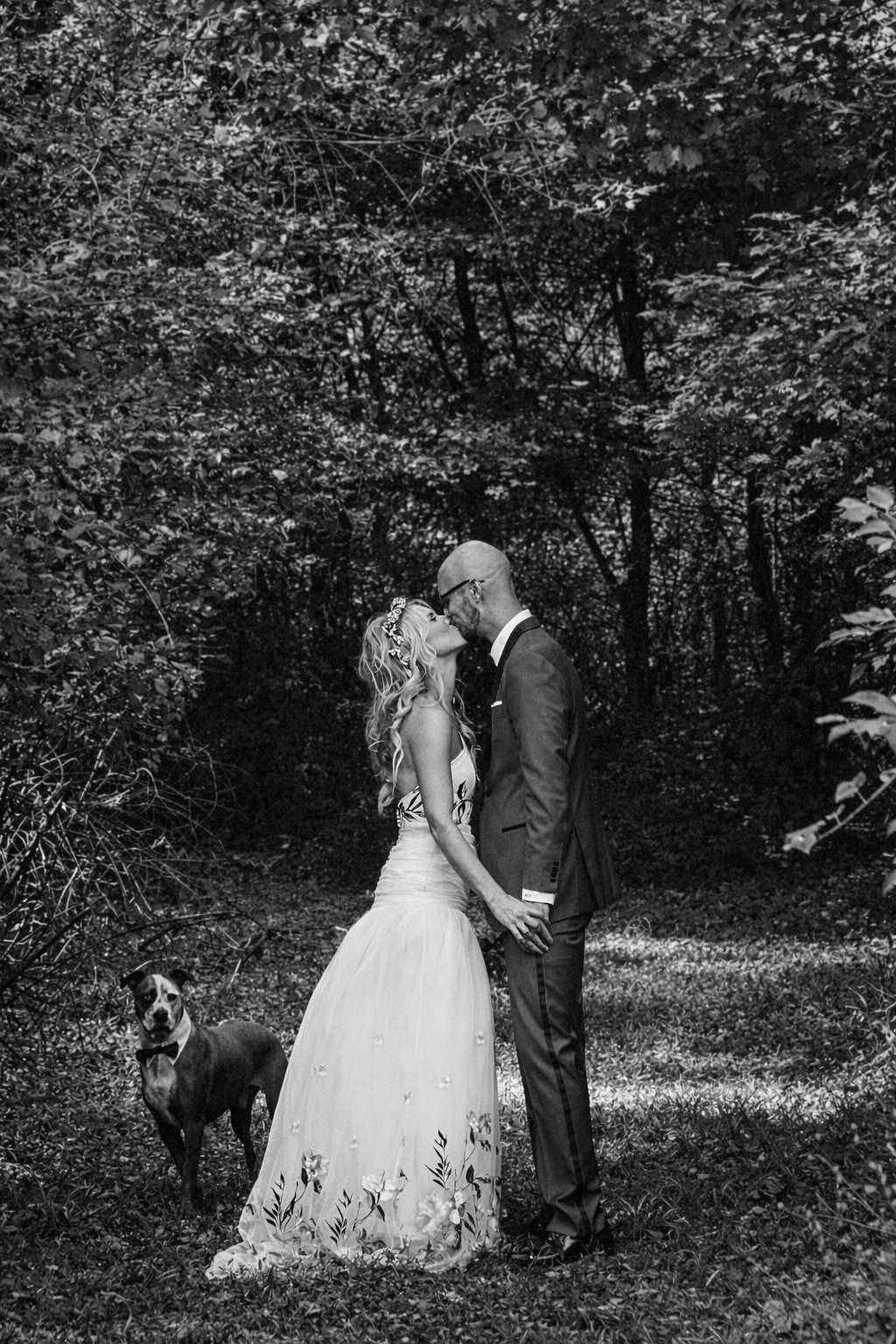 ChatGPT Image Feb 5, 2026, 03_35_36 PM.png