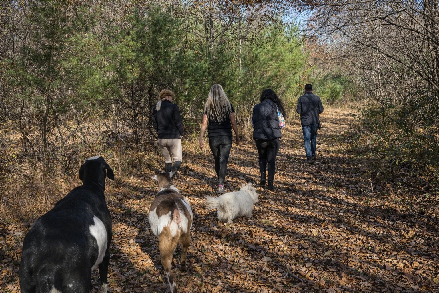 ChatGPT Image Feb 13, 2026, 09_18_30 PM.png