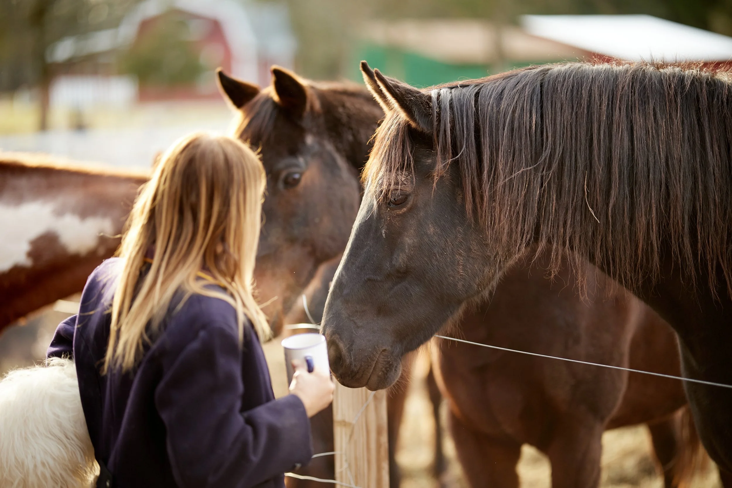 The Kaaterskill - Mia 96.JPG