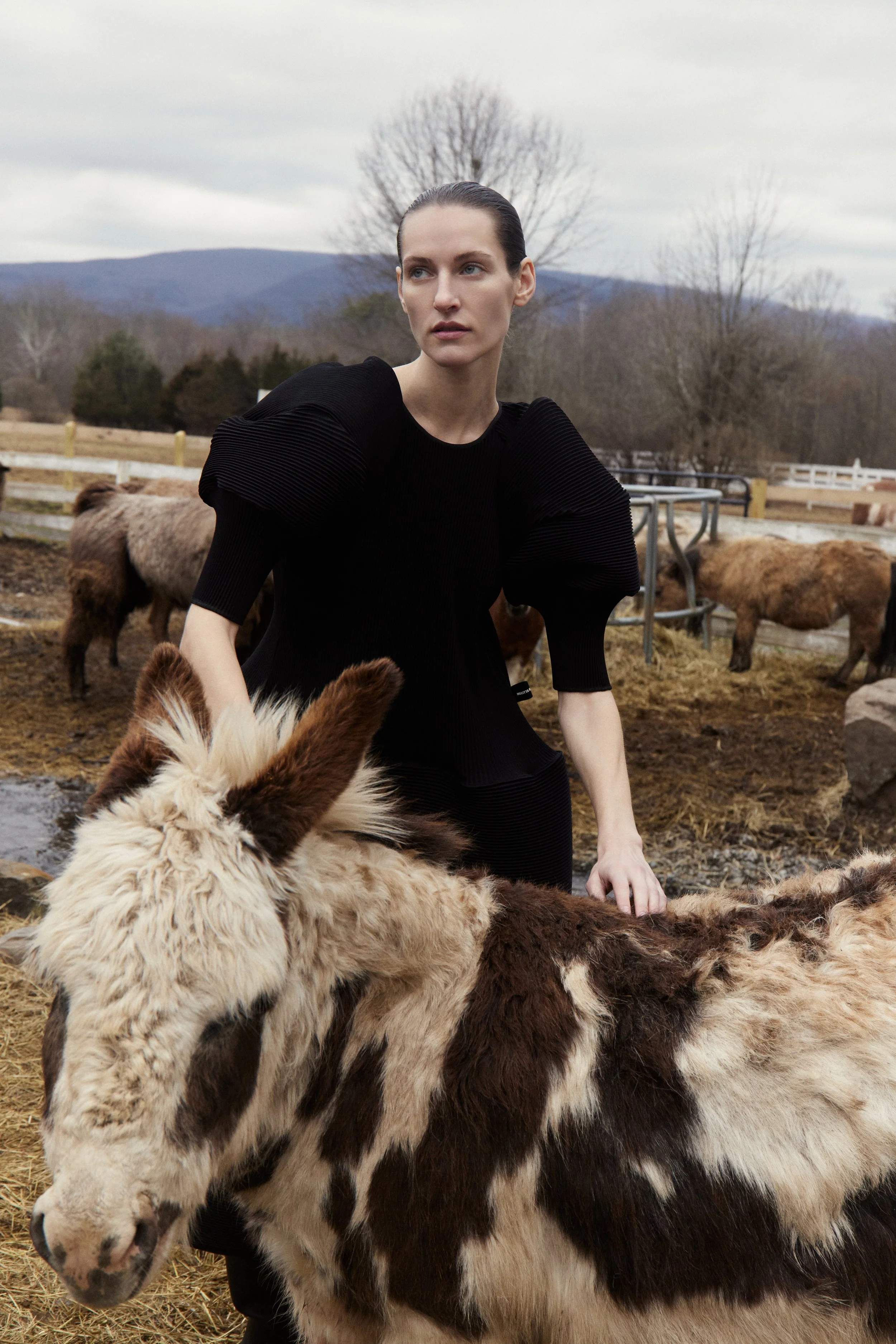 Davide  Juan Cuartas Editorial  -11.jpeg