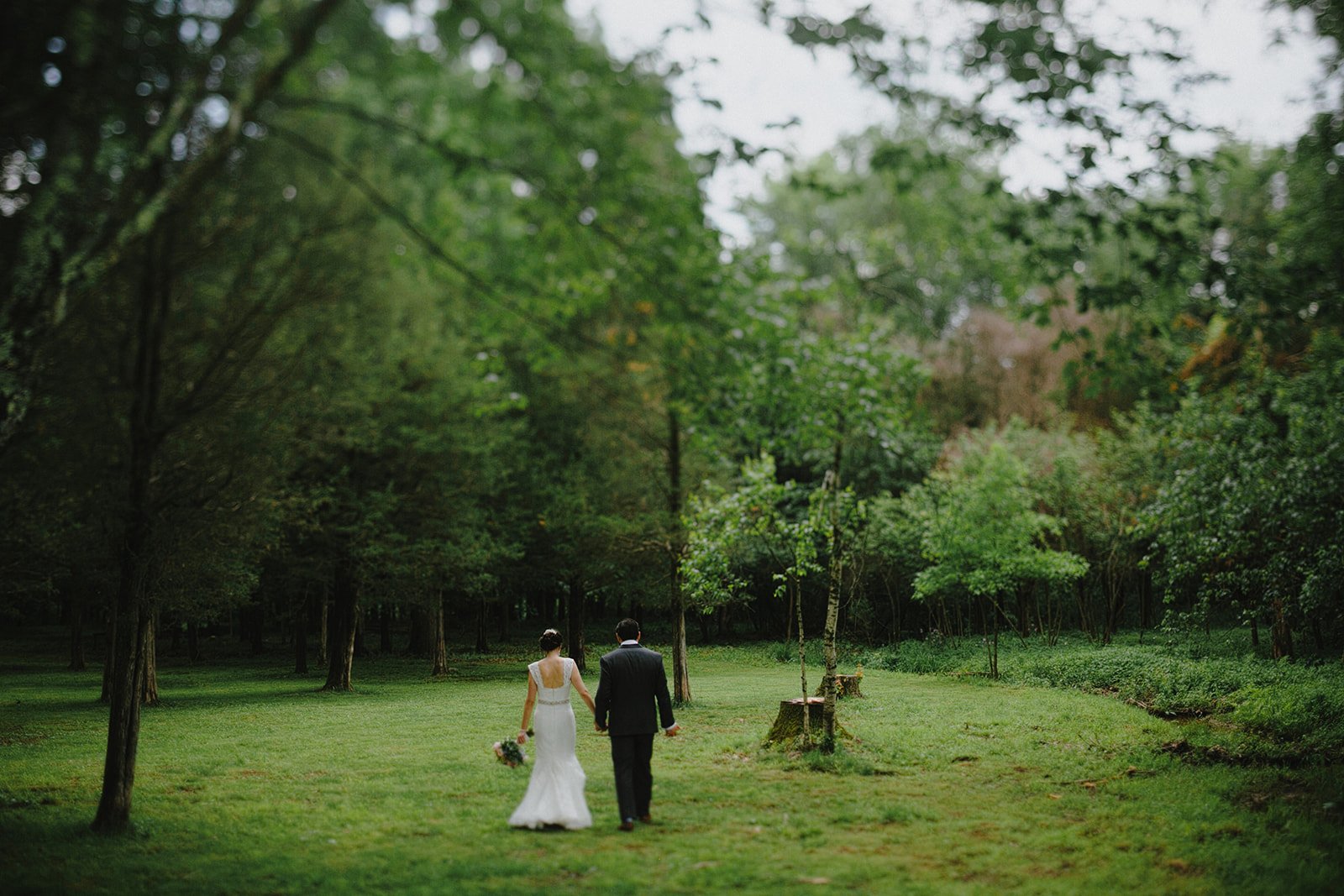 Under the Maple Trees