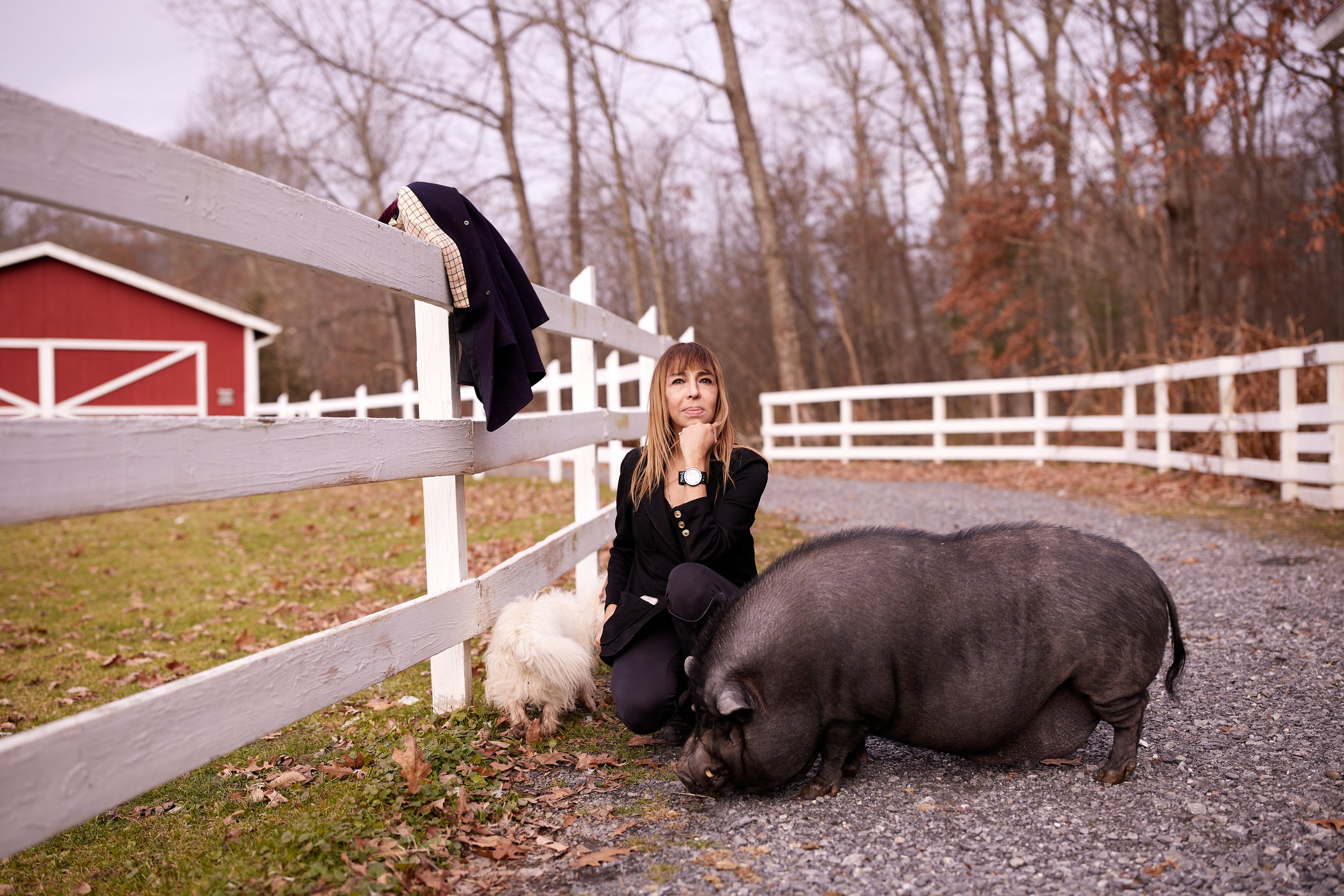 The Kaaterskill - Mia 201.jpg