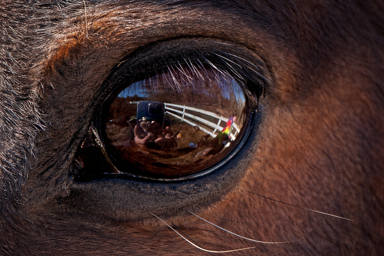 ChatGPT Image Feb 13, 2026, 03_23_50 PM.png