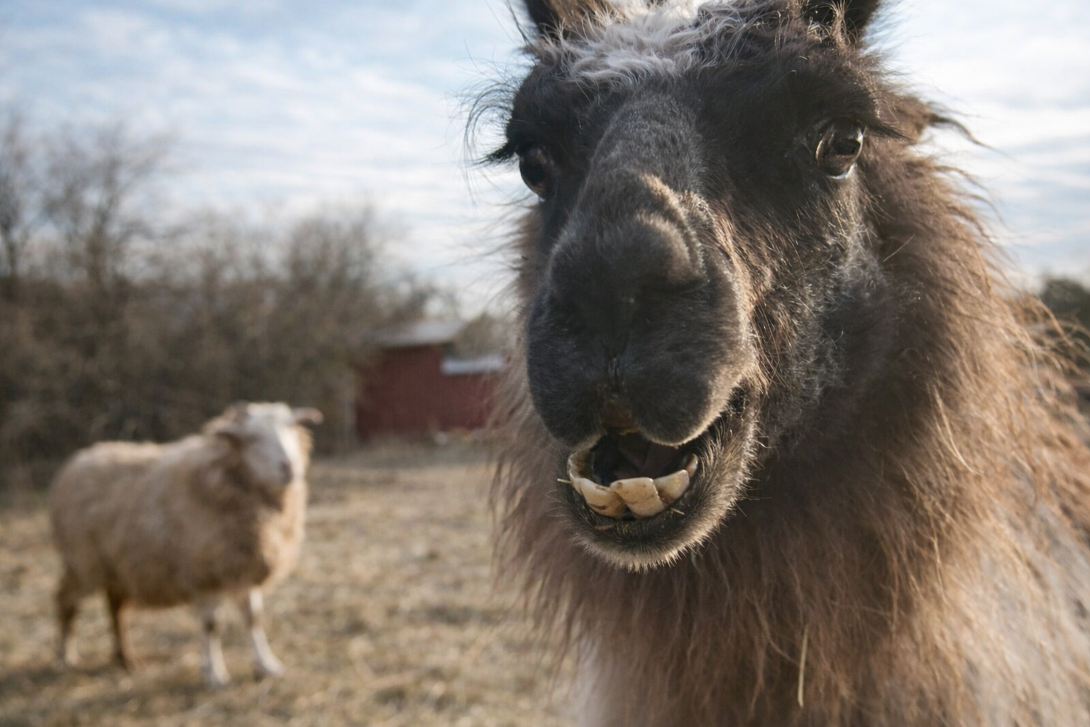 ChatGPT Image Feb 13, 2026, 05_23_40 PM.png