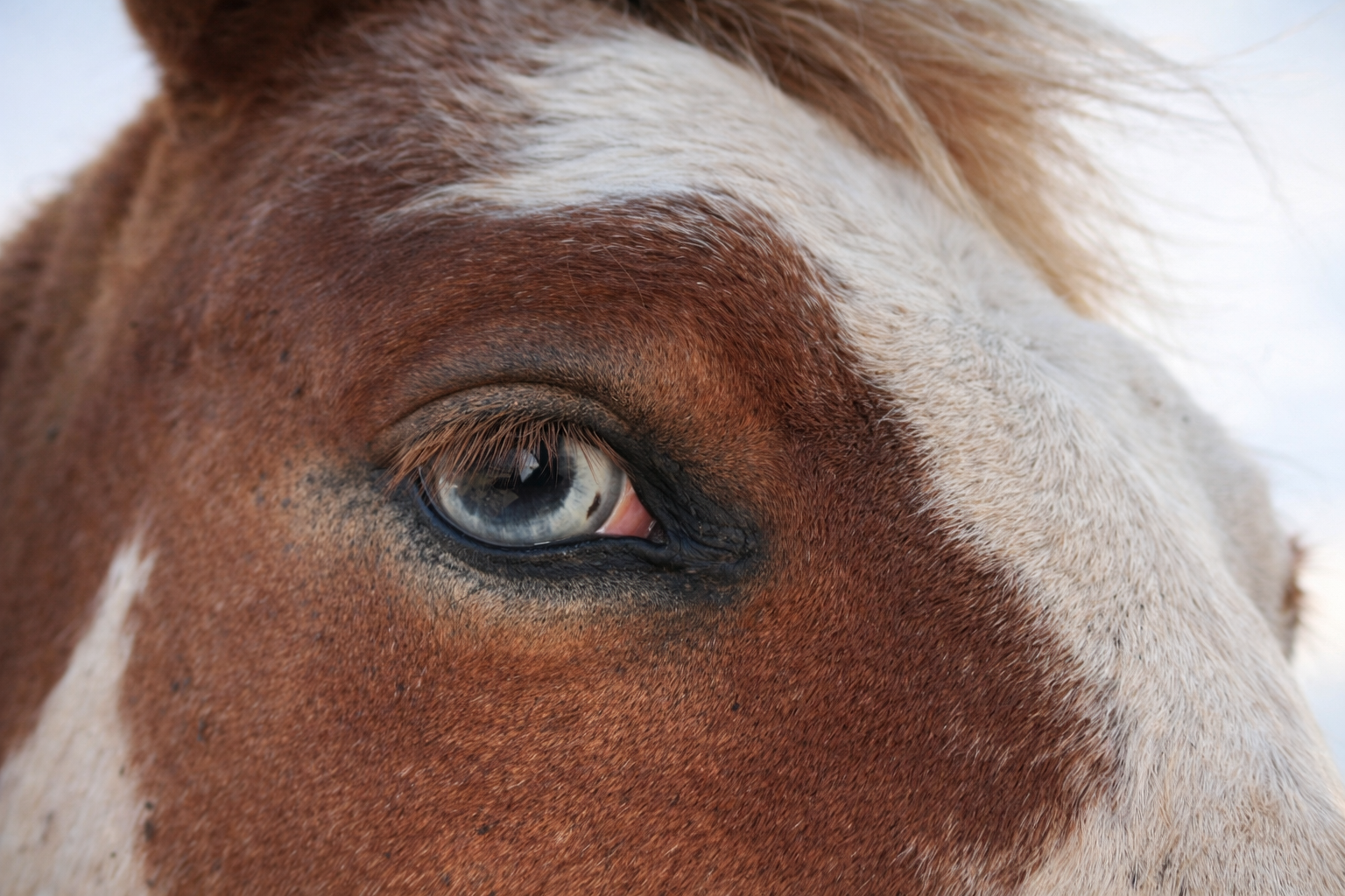 ChatGPT Image Feb 13, 2026, 05_23_50 PM.png