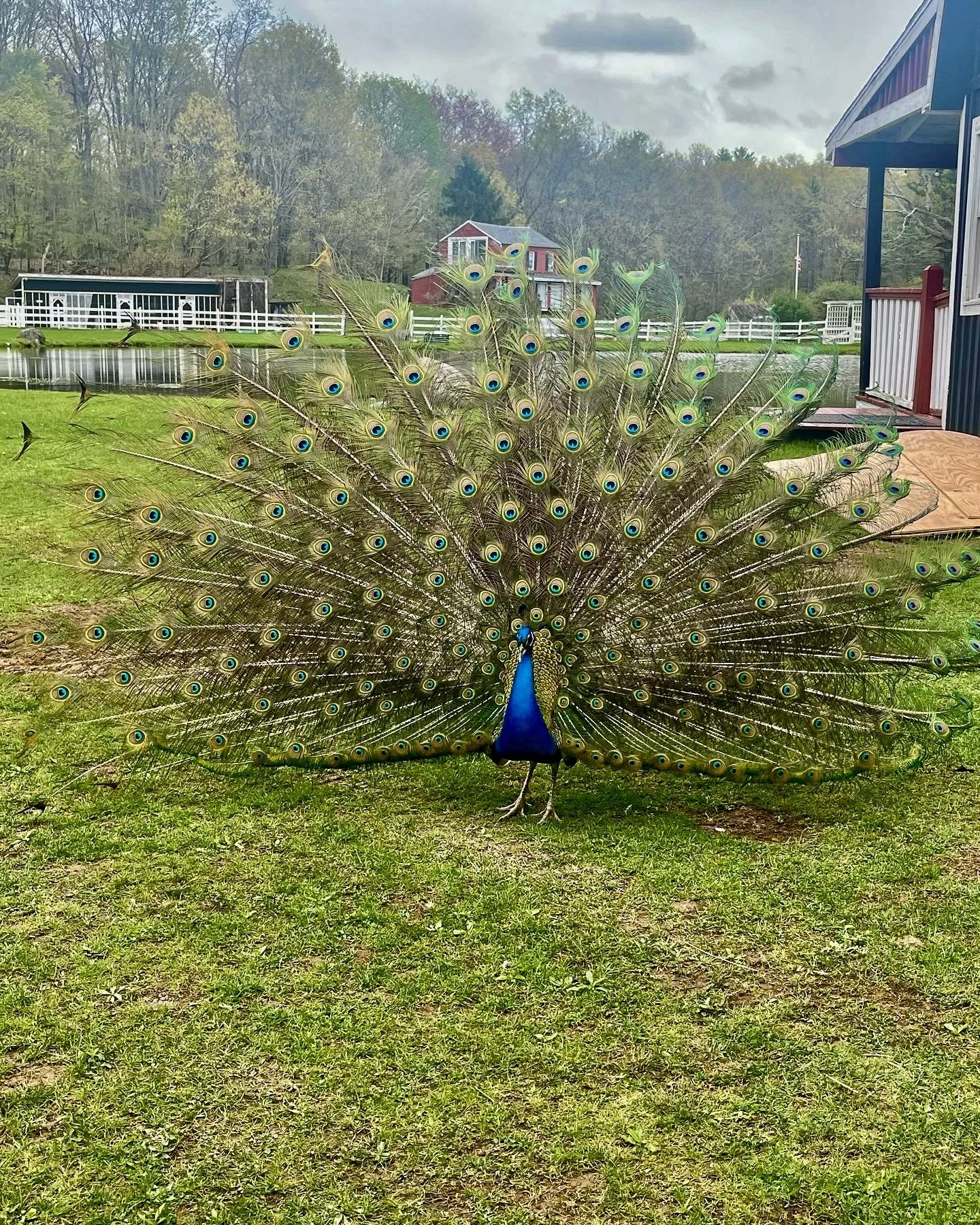 Photo Sep 09 2025, 3 16 22 PM.jpg