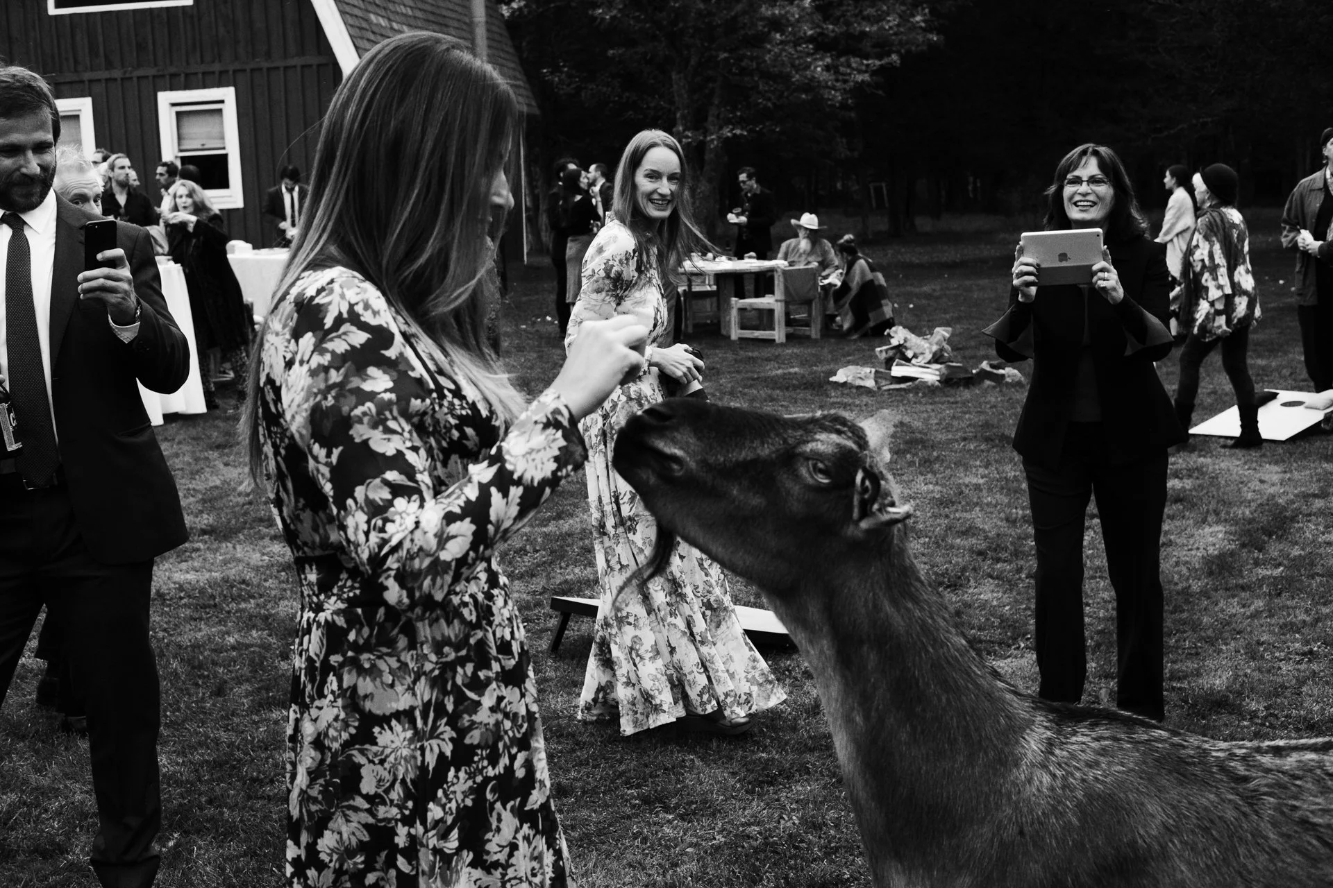 _DSF6976 (1) (1).jpg