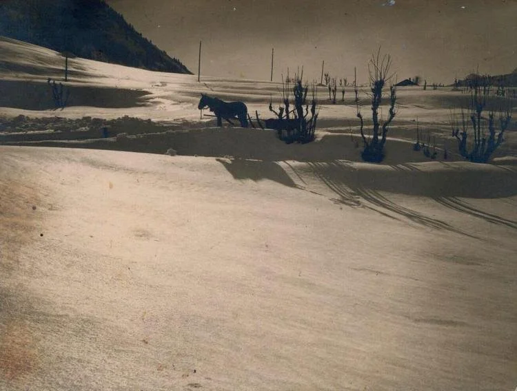 Cavallo e slitta - anni '20