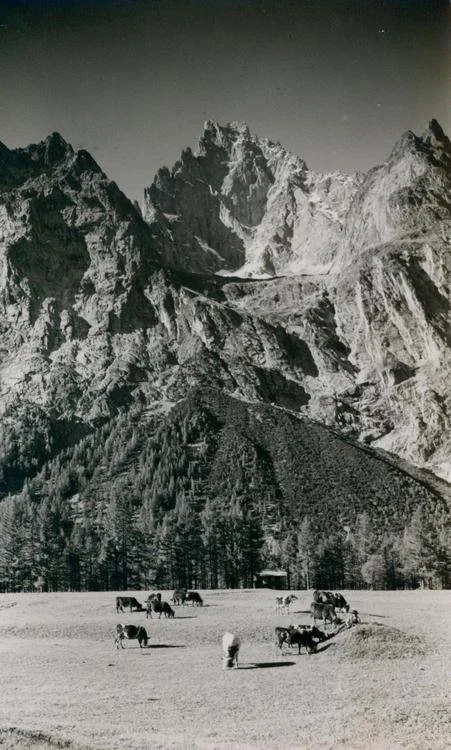 In fronte all'Aiguille Noire