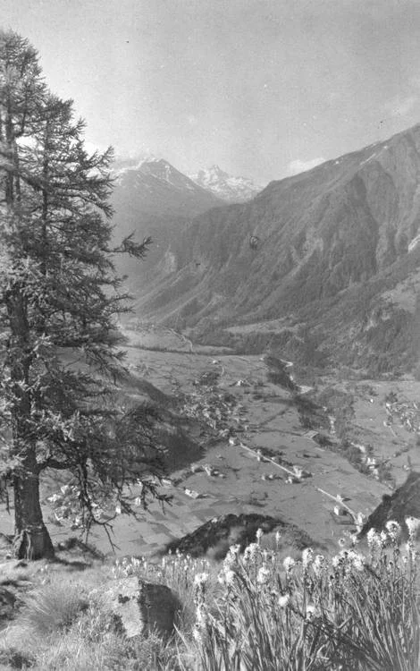 Vista dal Mont La Saxe