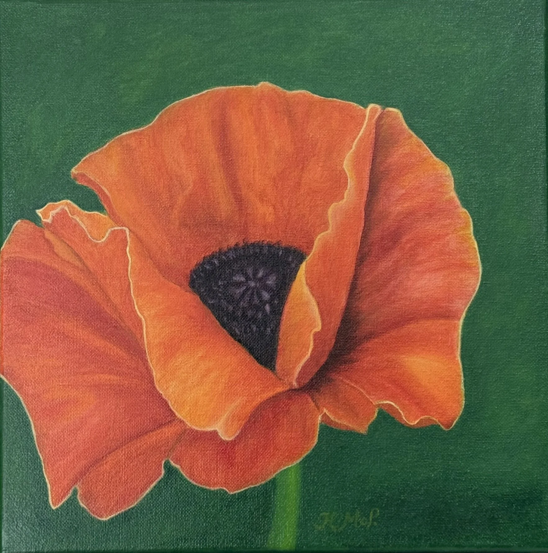 Hanh-McPherson-Orange Poppy.JPEG