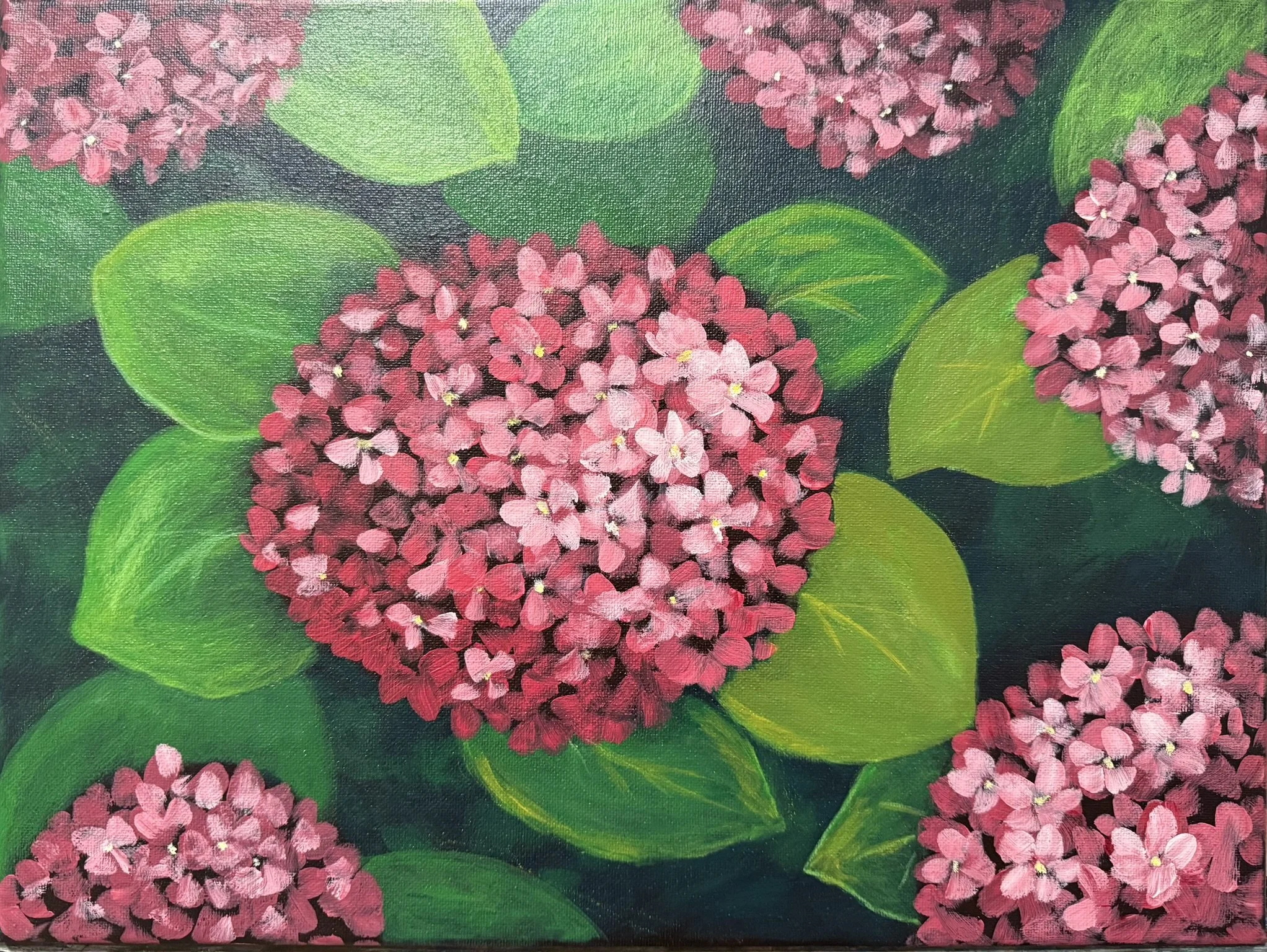 Red Hydrangeas