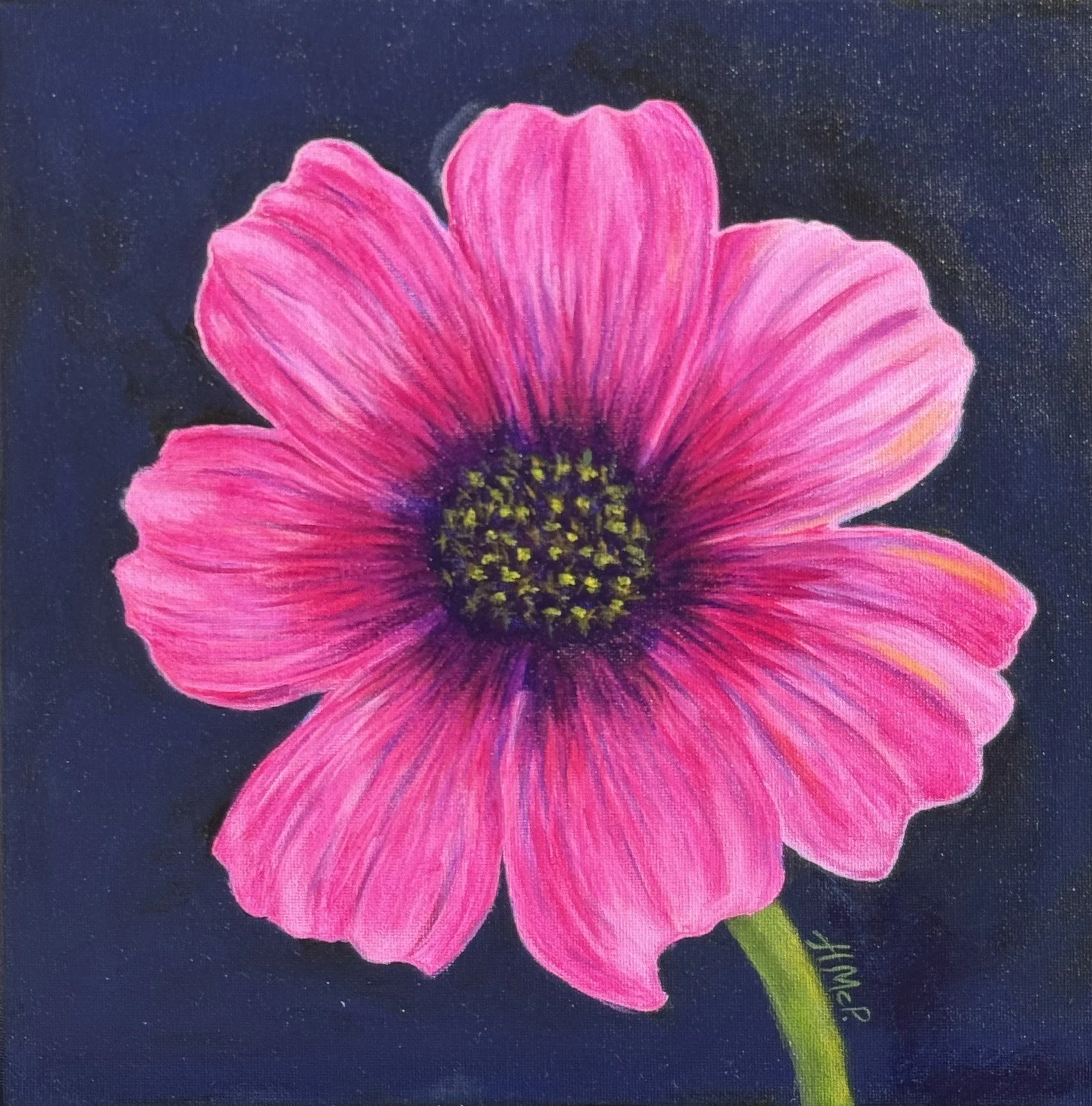 Pink Cosmo