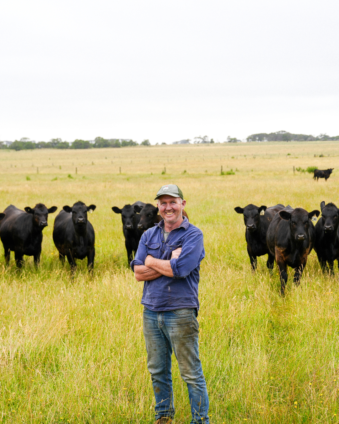 Tim Mugavin working with grass-fed cattle on the Mugavin Beef farm in Killarney