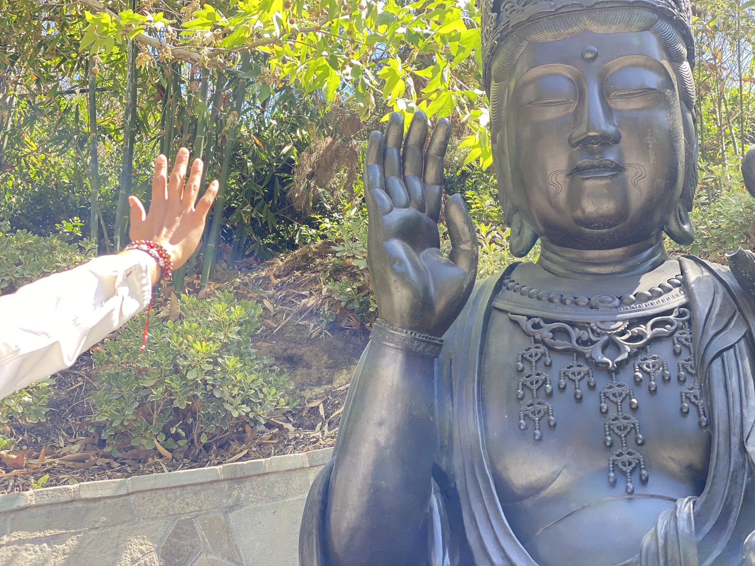 The One Who Tried to Save Us