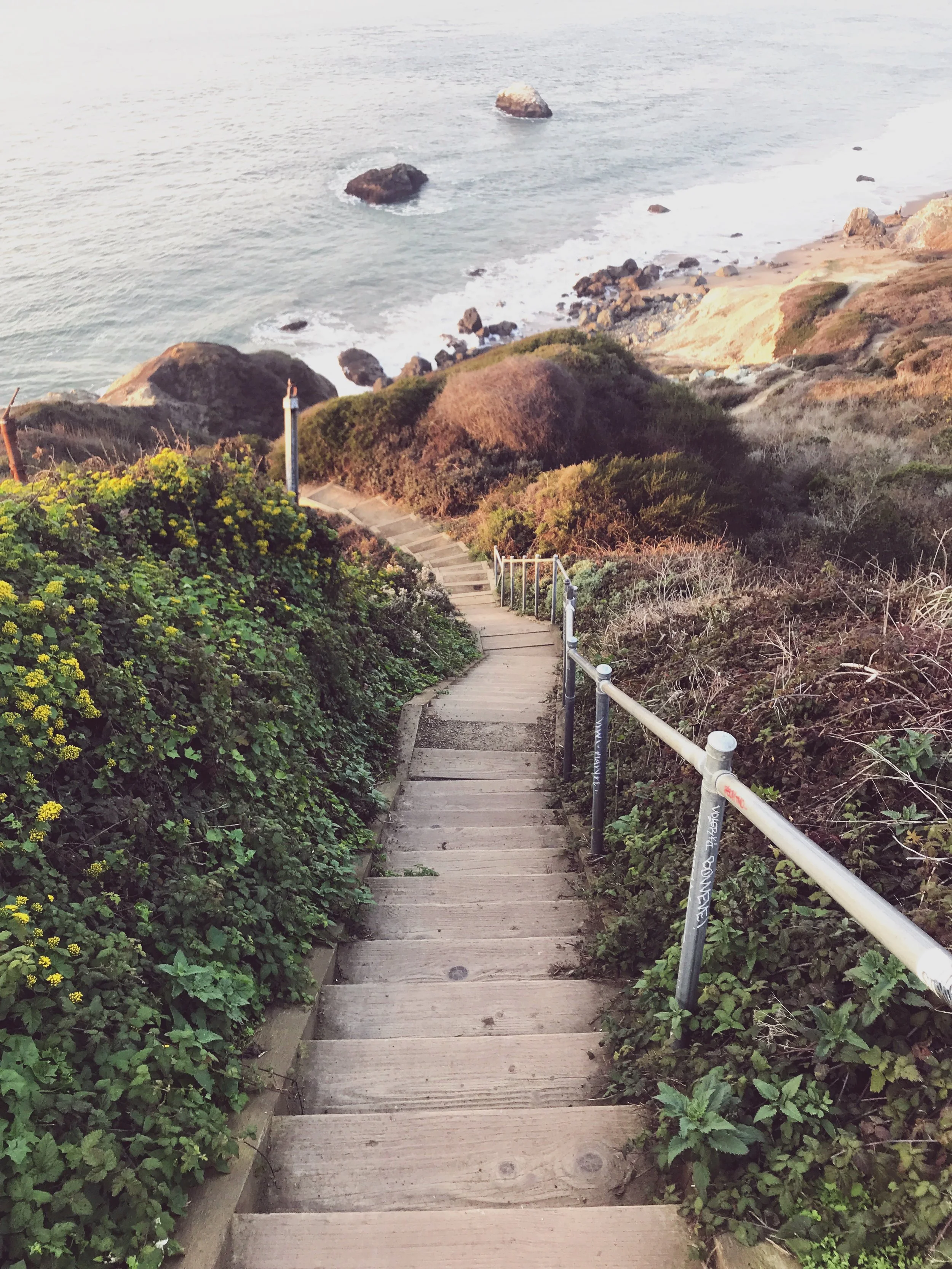 Wooden stairs leading down a hillside covered with green bushes and plants, overlooking the ocean with rocks in the water and the shoreline in the background.