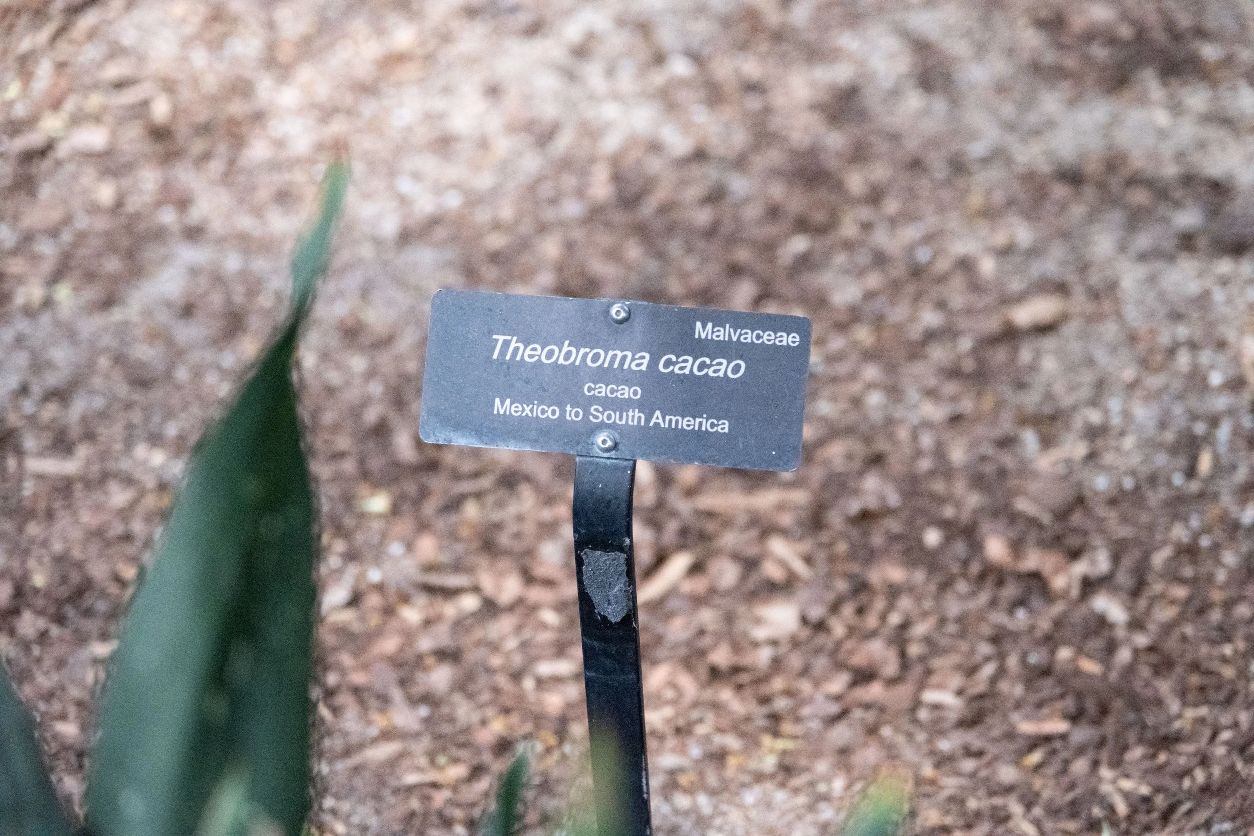 DSCF1918.jpg