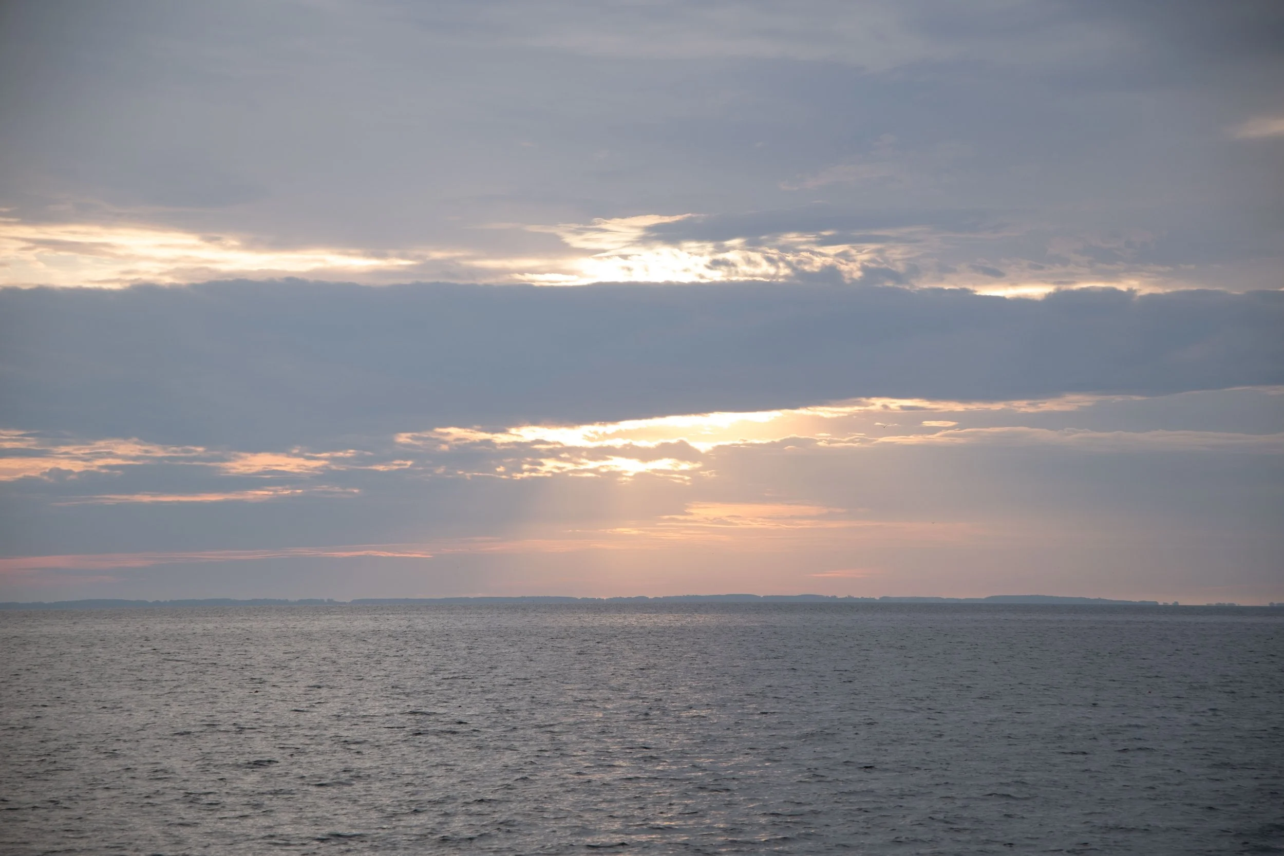 DSCF2416.jpg