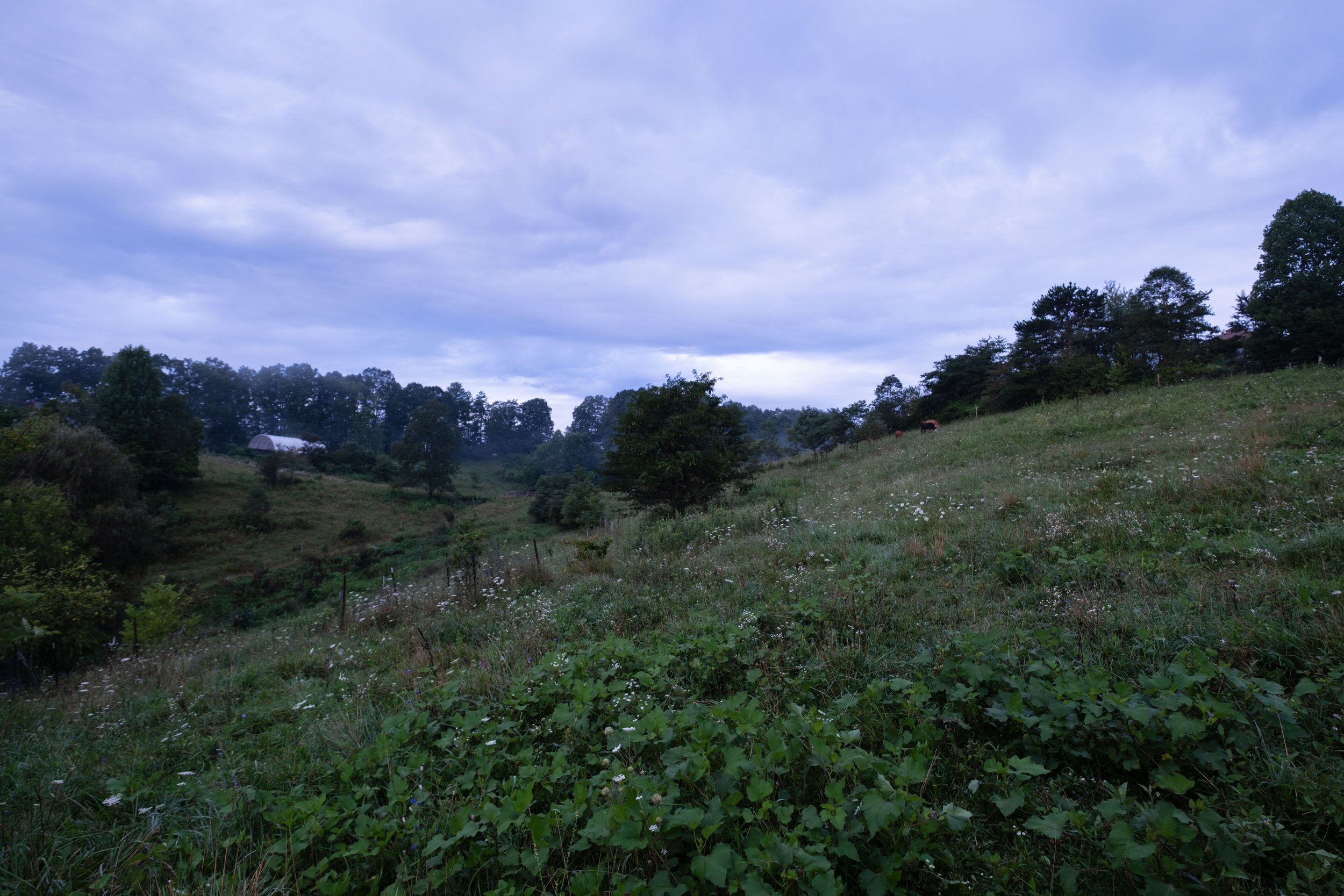DSCF1561.jpg