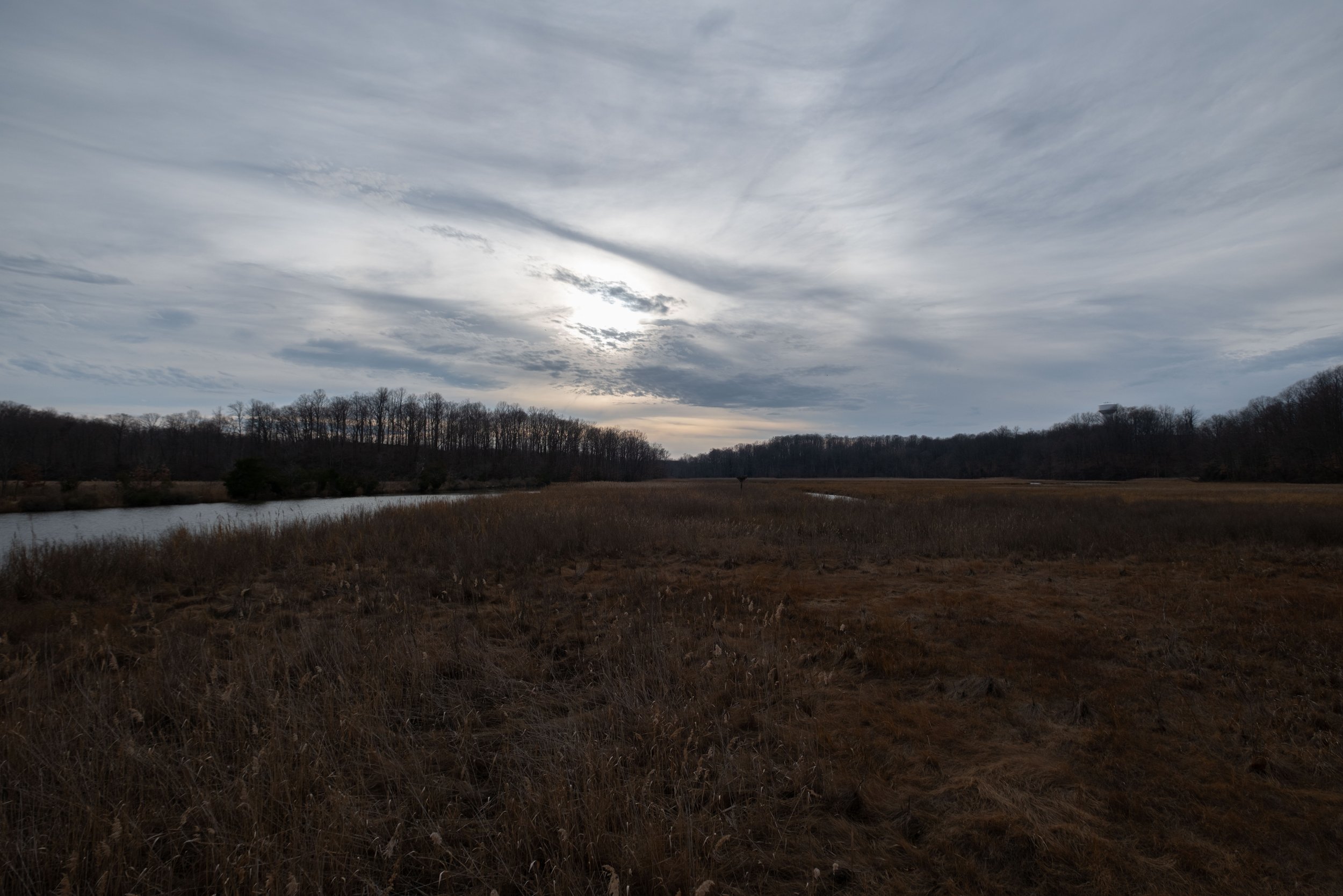 DSCF1058.jpg