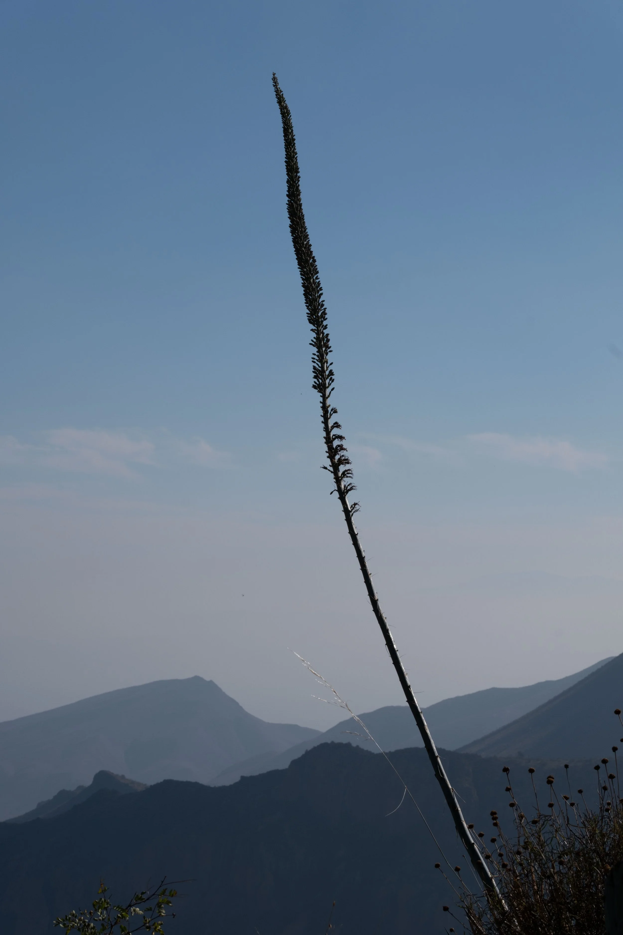 DSCF0509.jpg