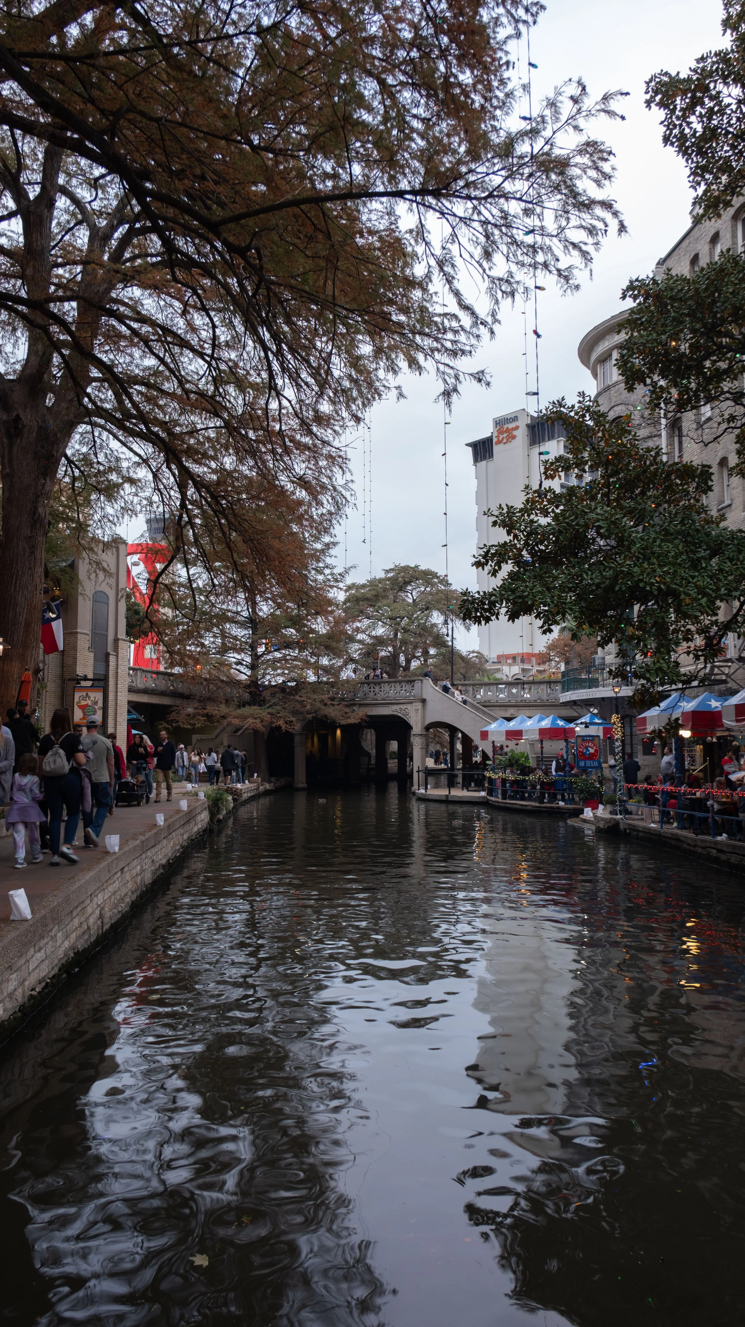 DSCF0411.jpg