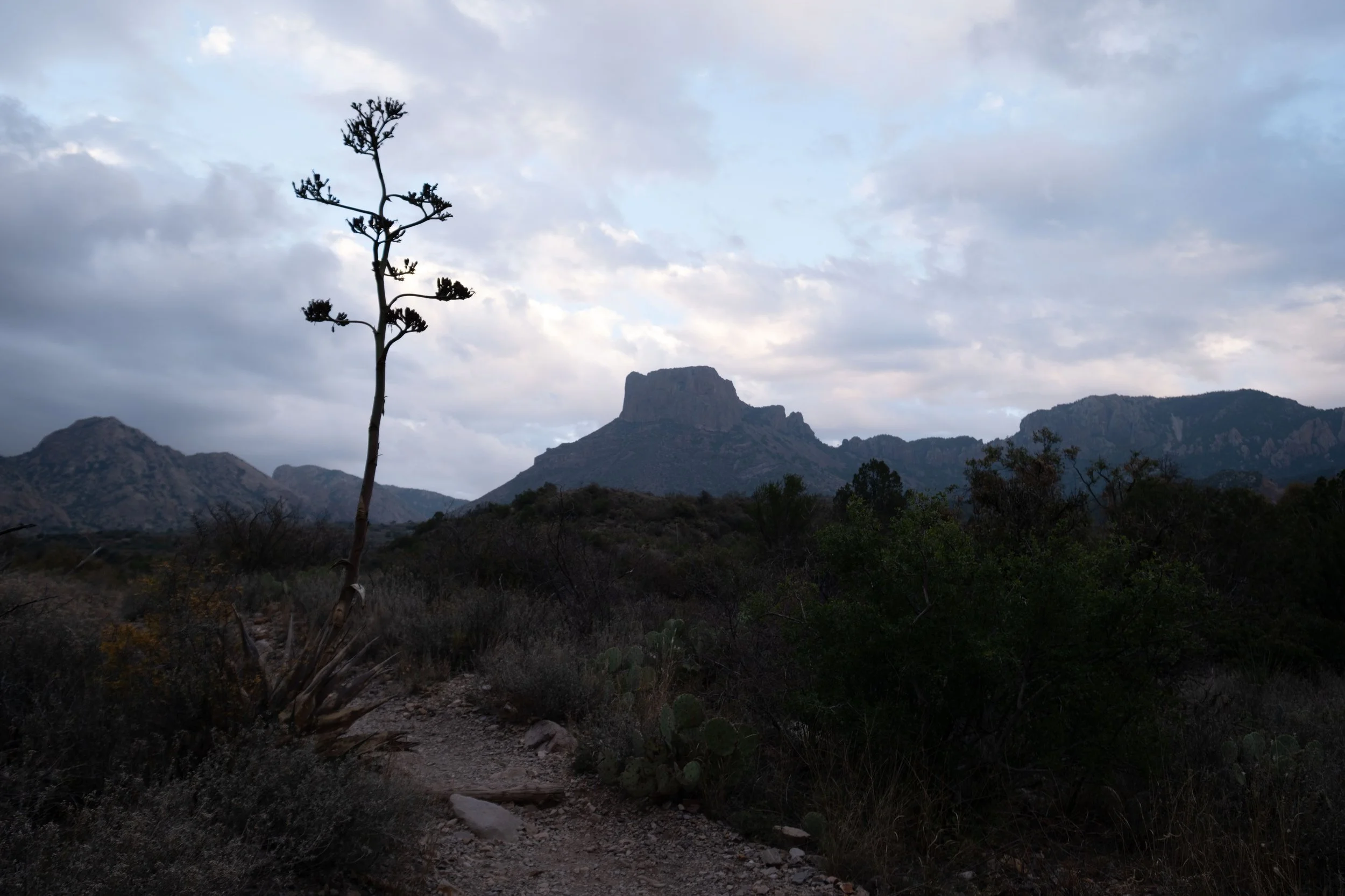 DSCF0704.jpg