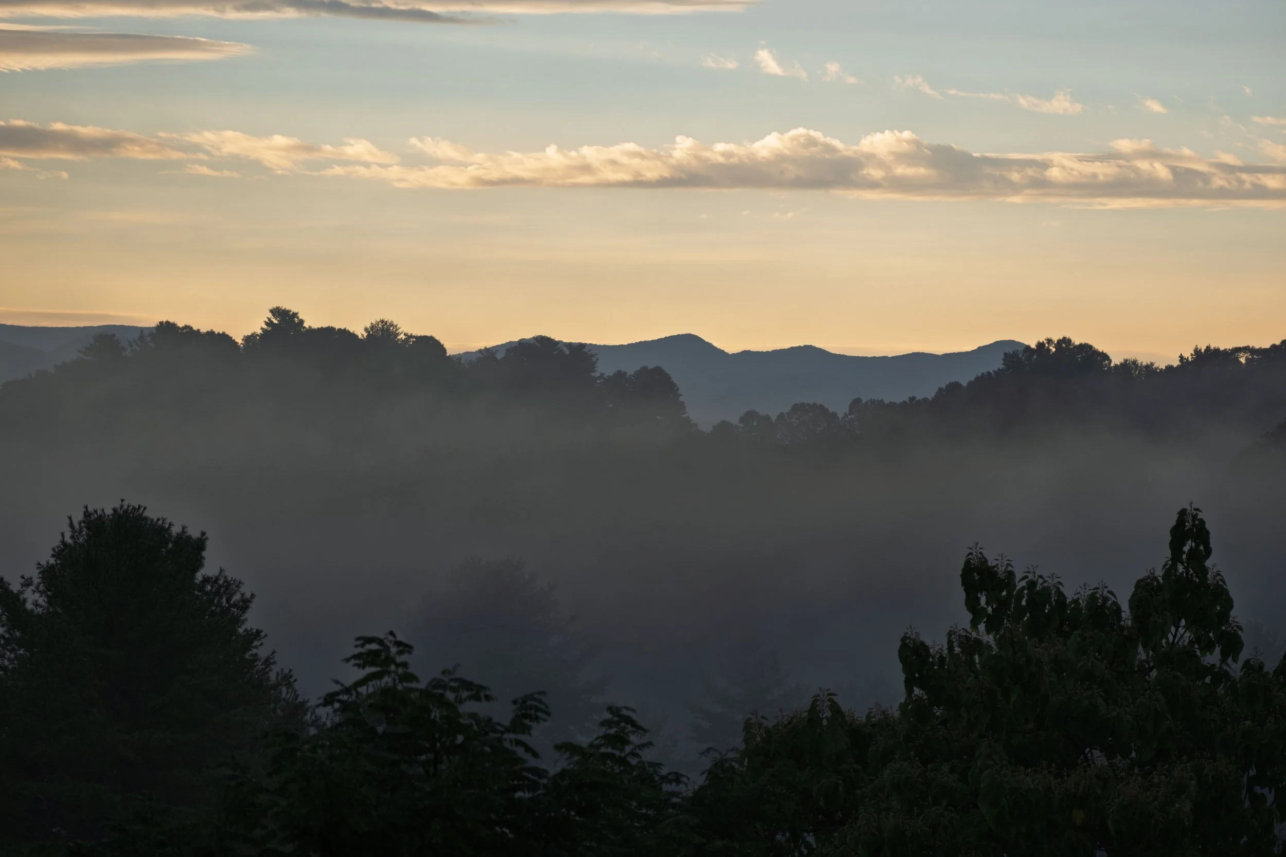 DSCF1569.jpg