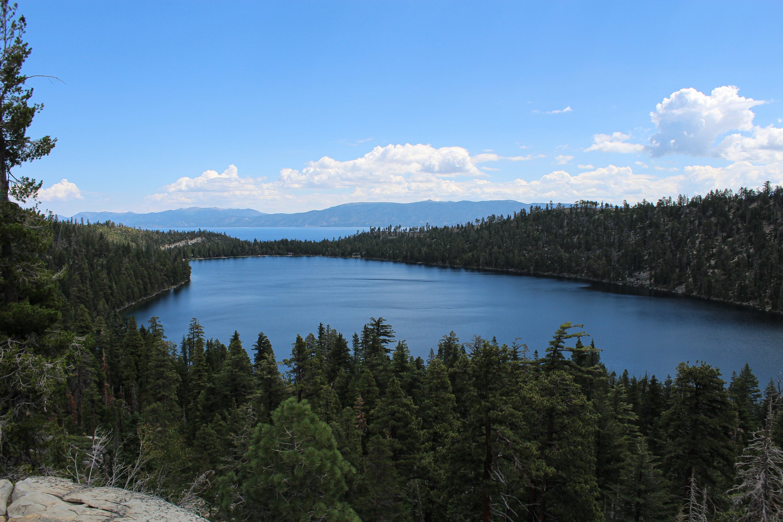 IMG_2473.jpg