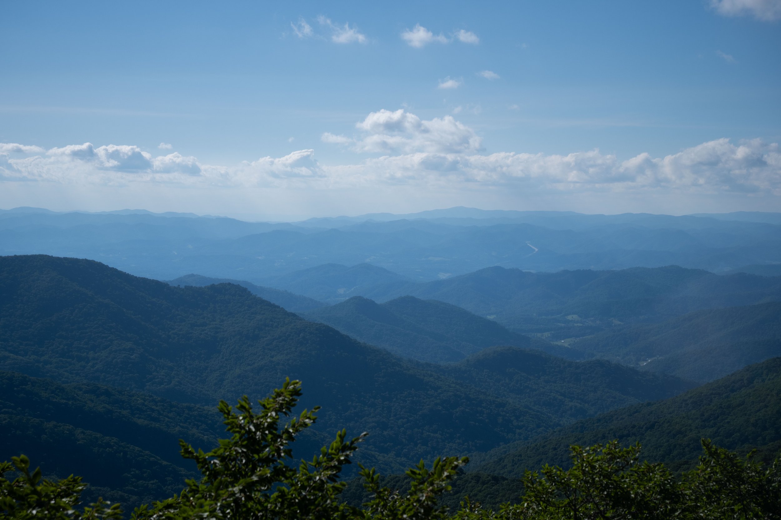 DSCF0093.jpg