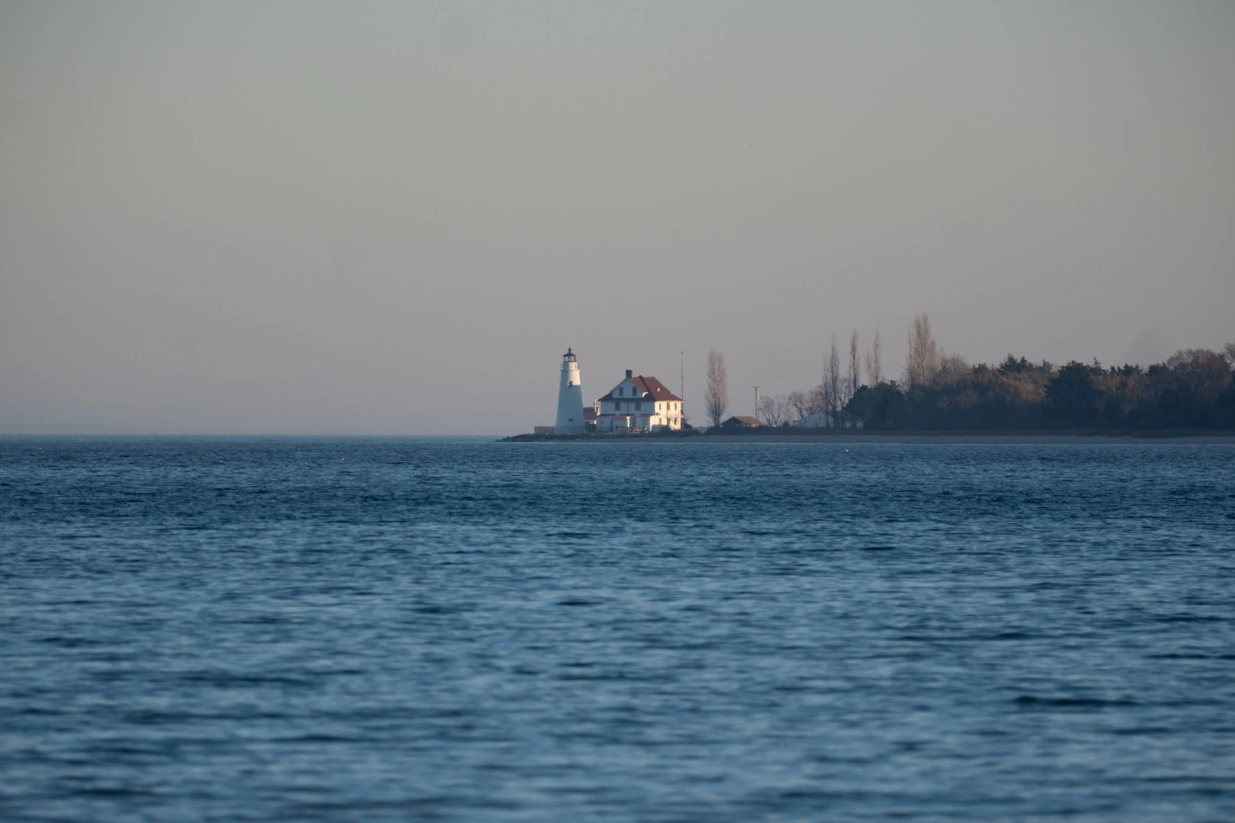 DSCF0931.jpg