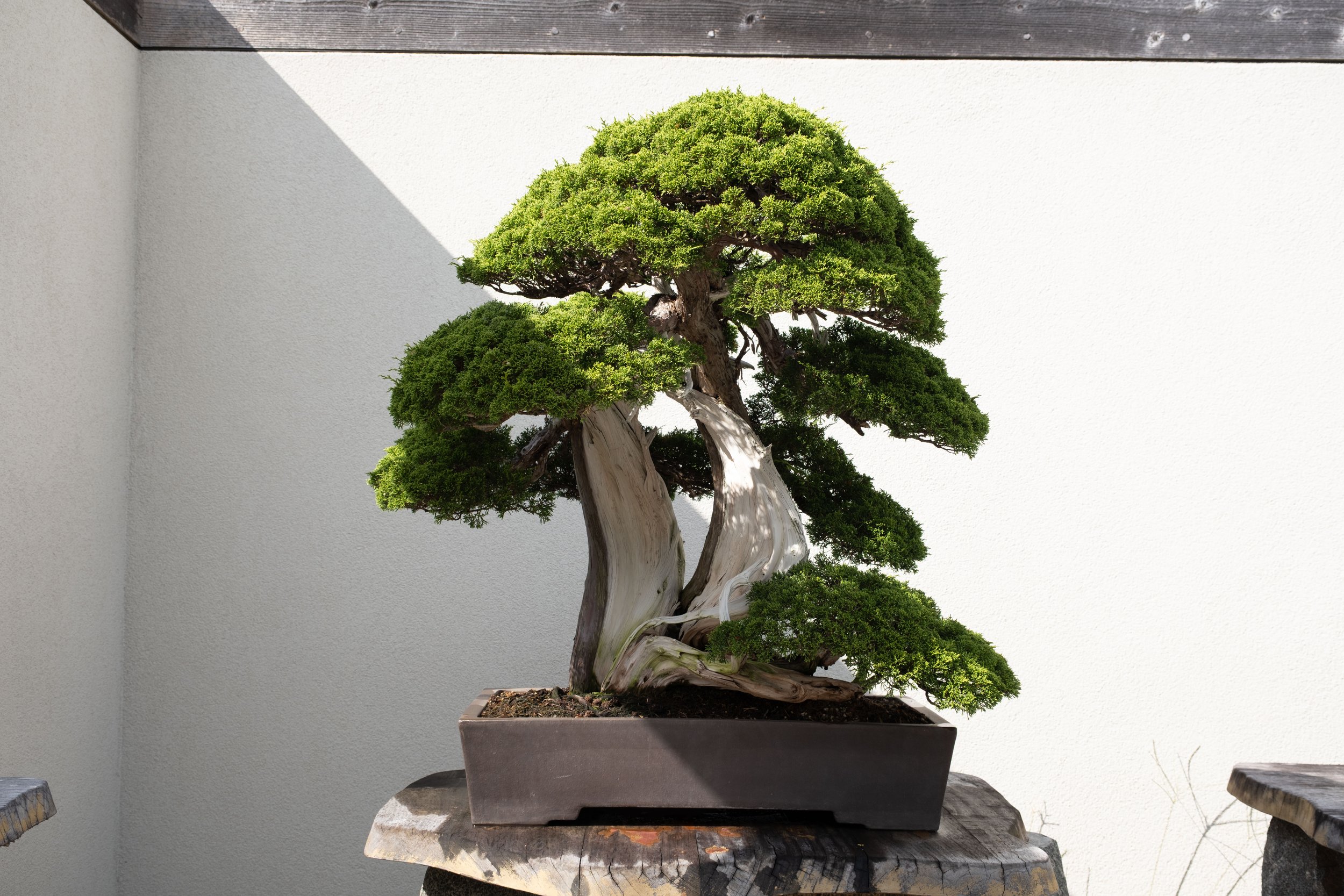 DSCF2273.jpg