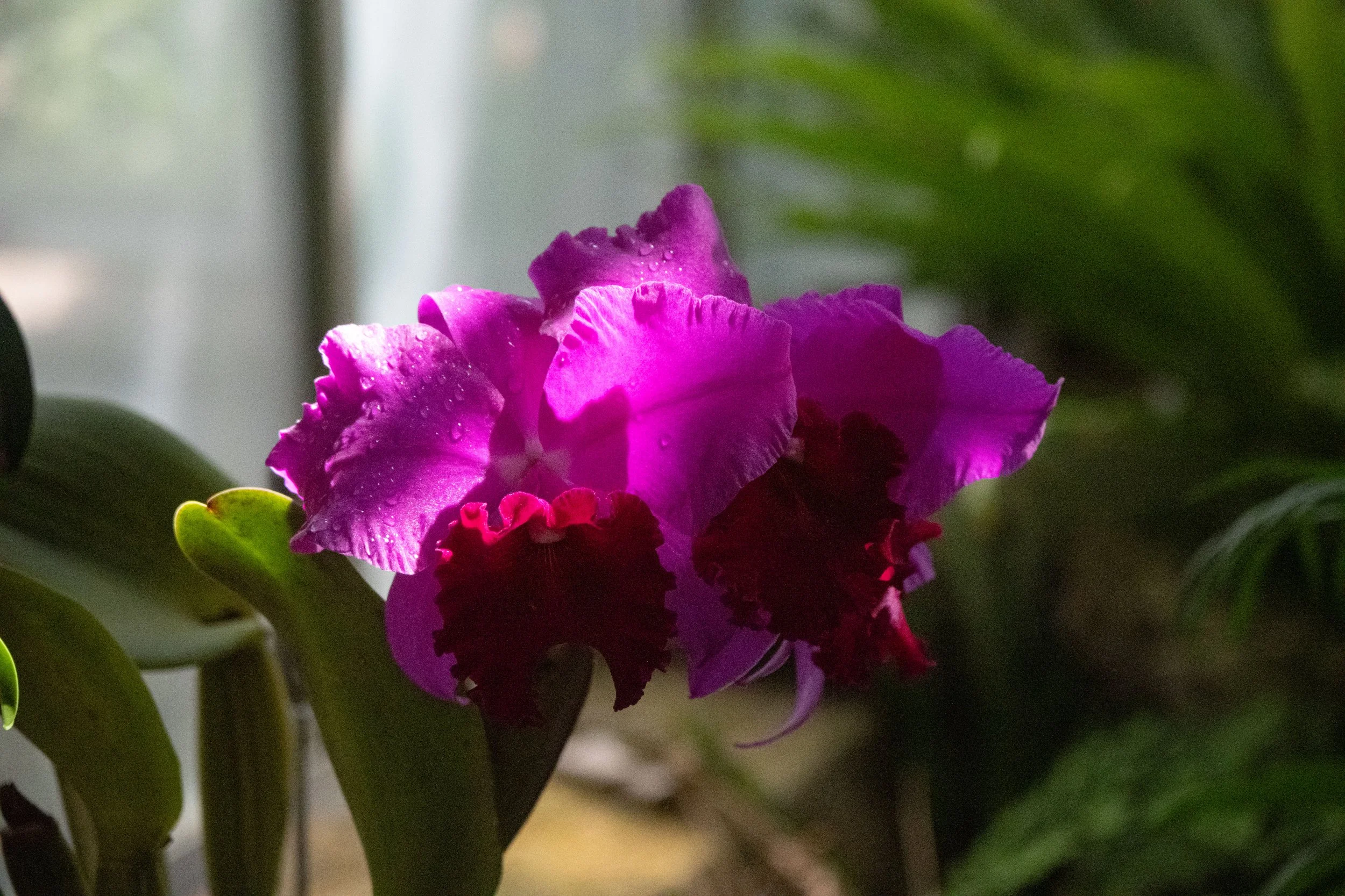 DSCF1900.jpg