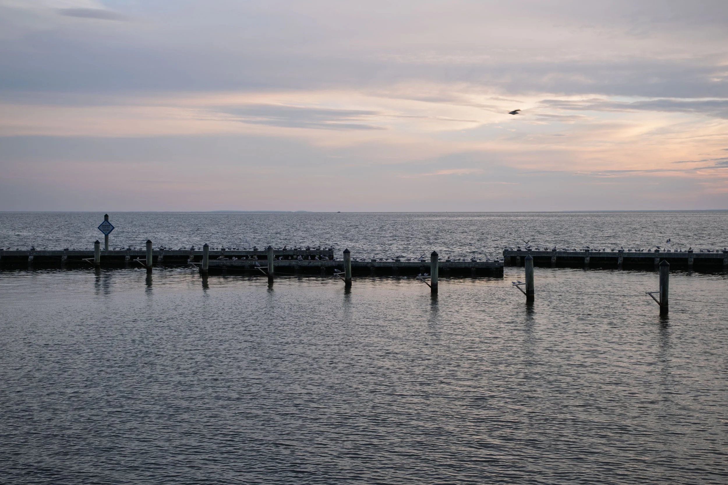 DSCF2409.jpg