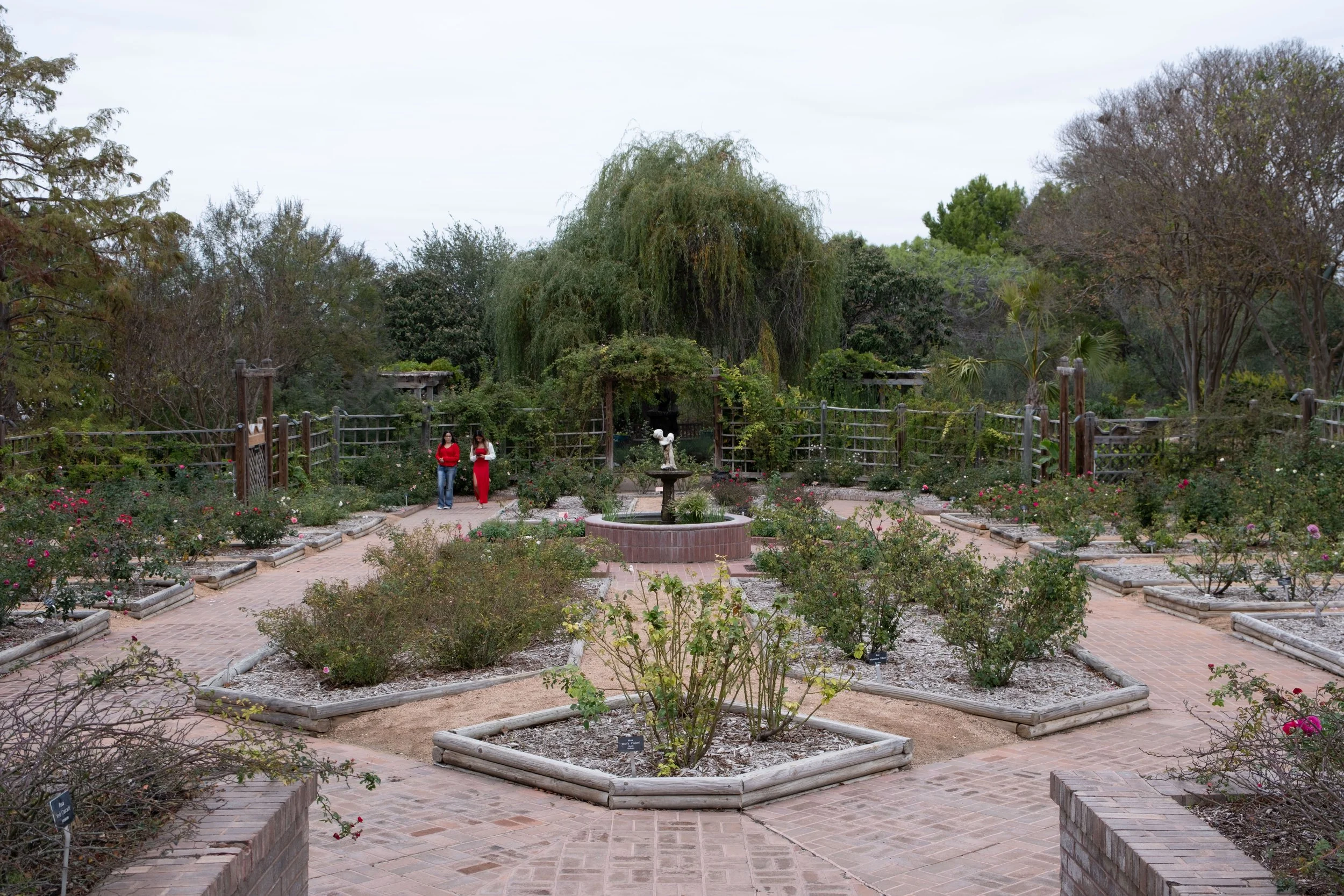 DSCF0342.jpg