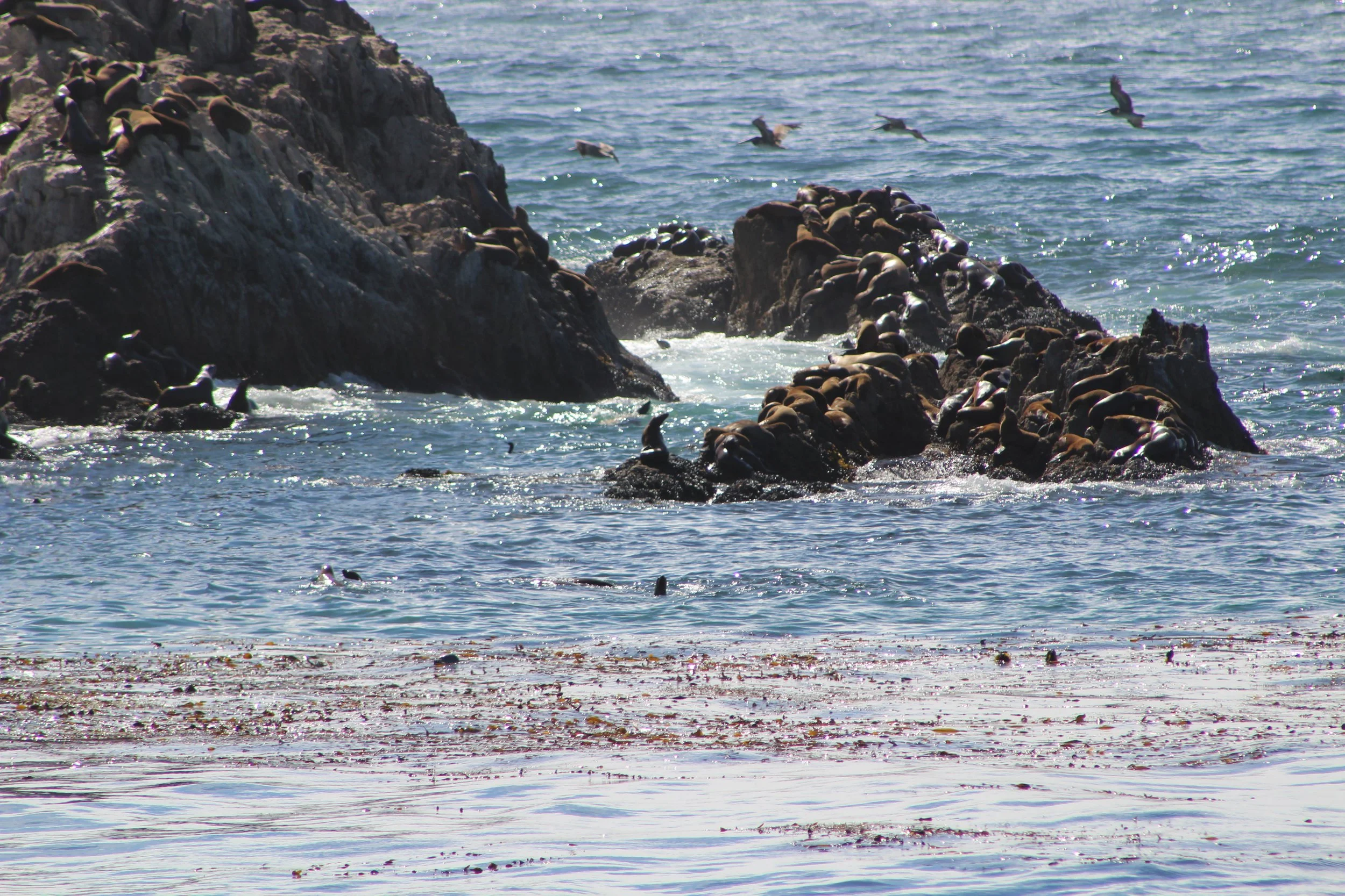 IMG_3977.JPG