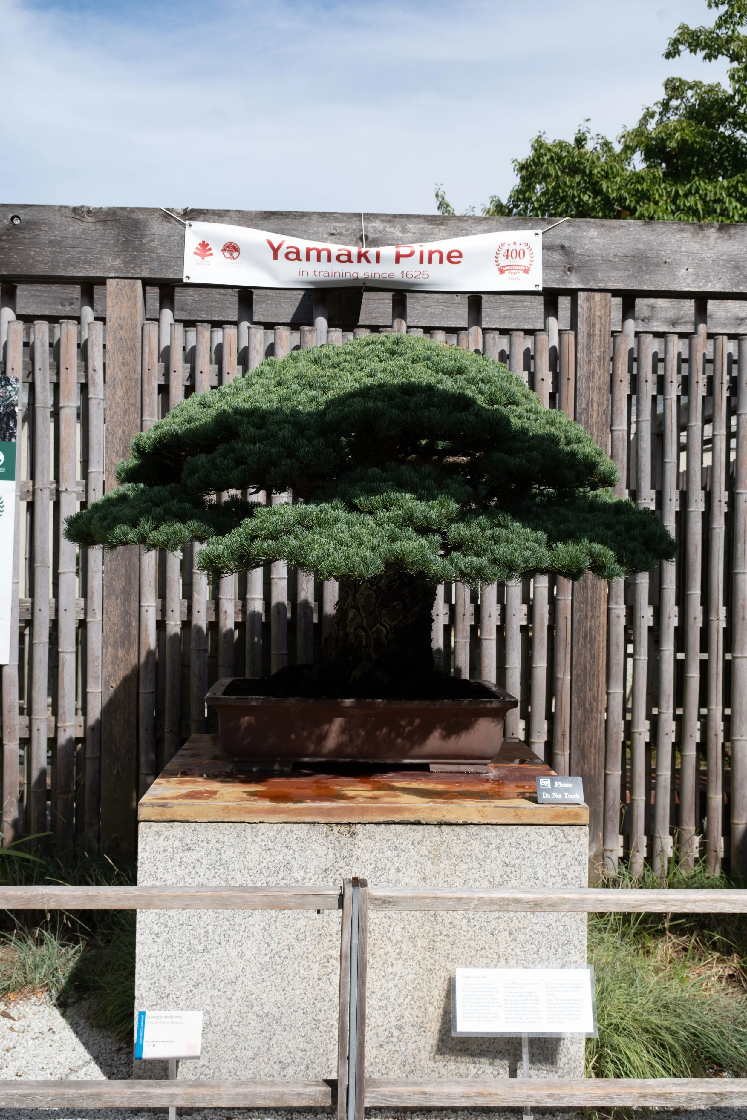 DSCF2240.jpg