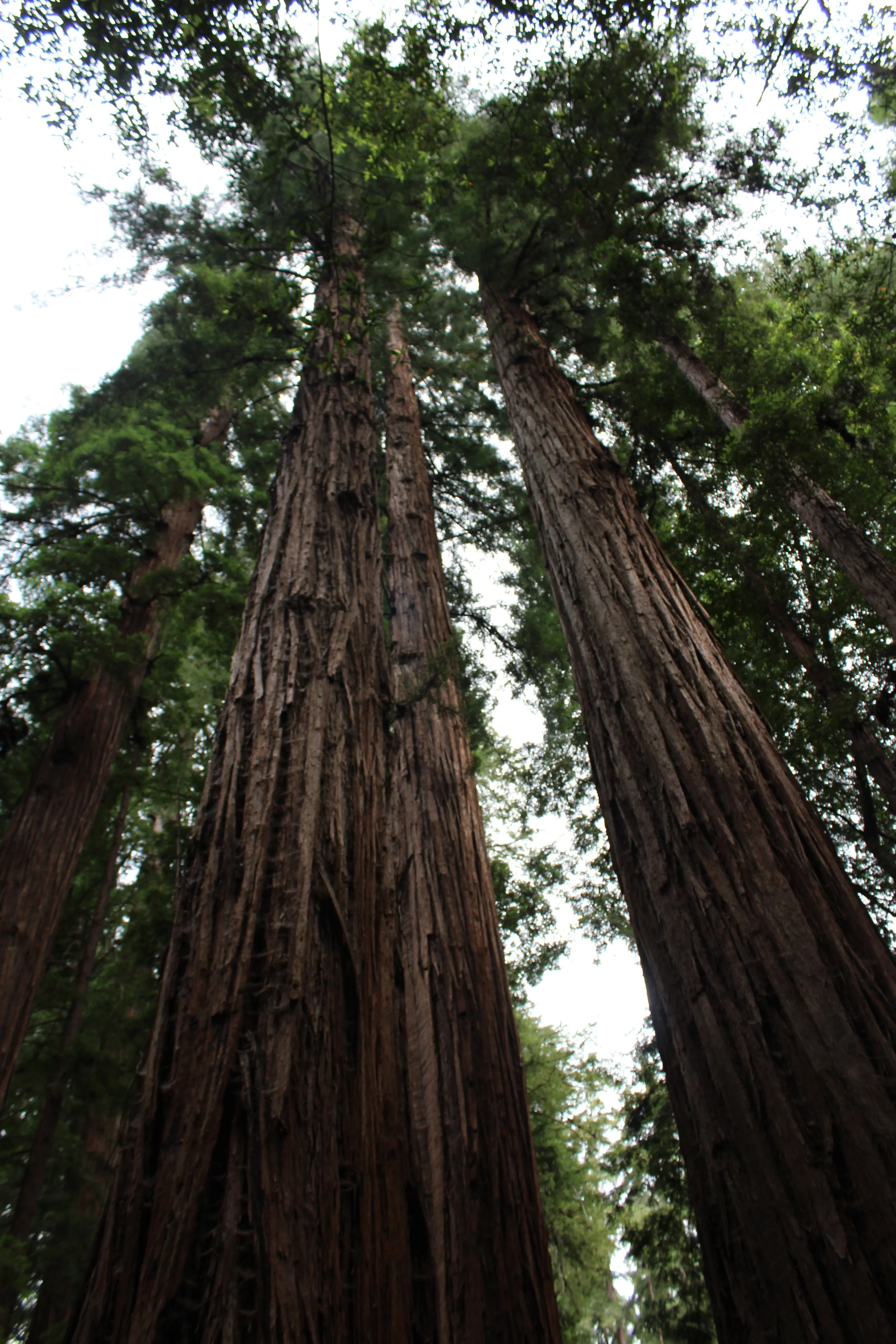 IMG_2273.JPG