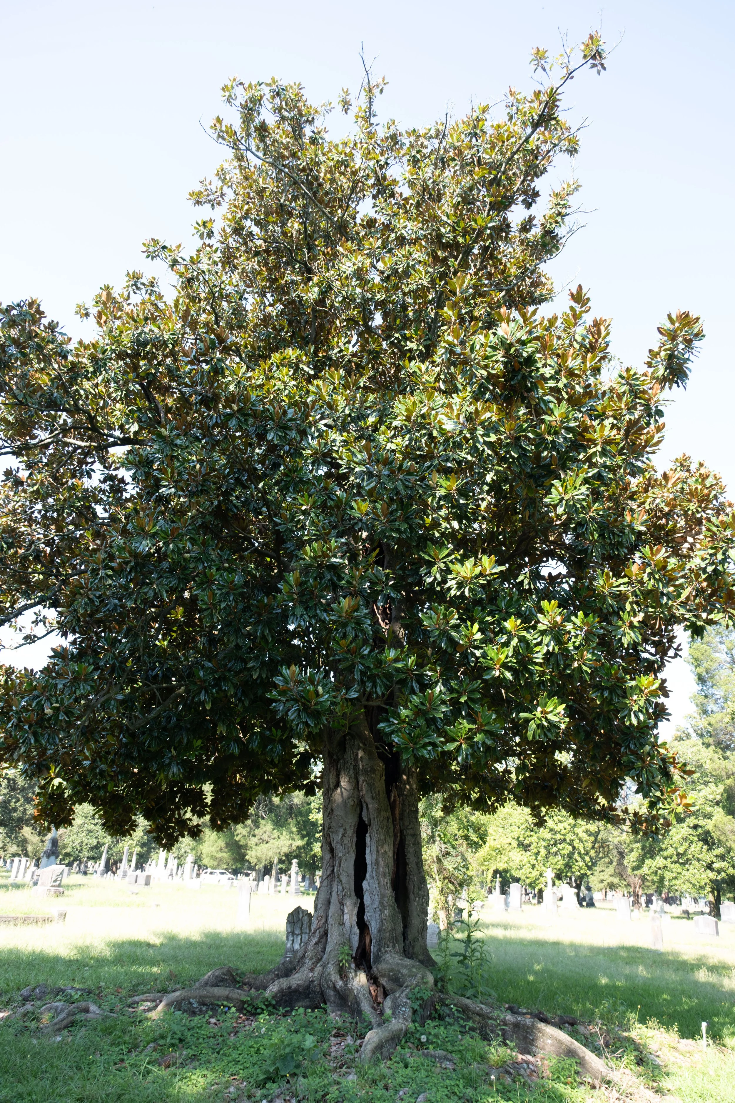 DSCF1493.jpg