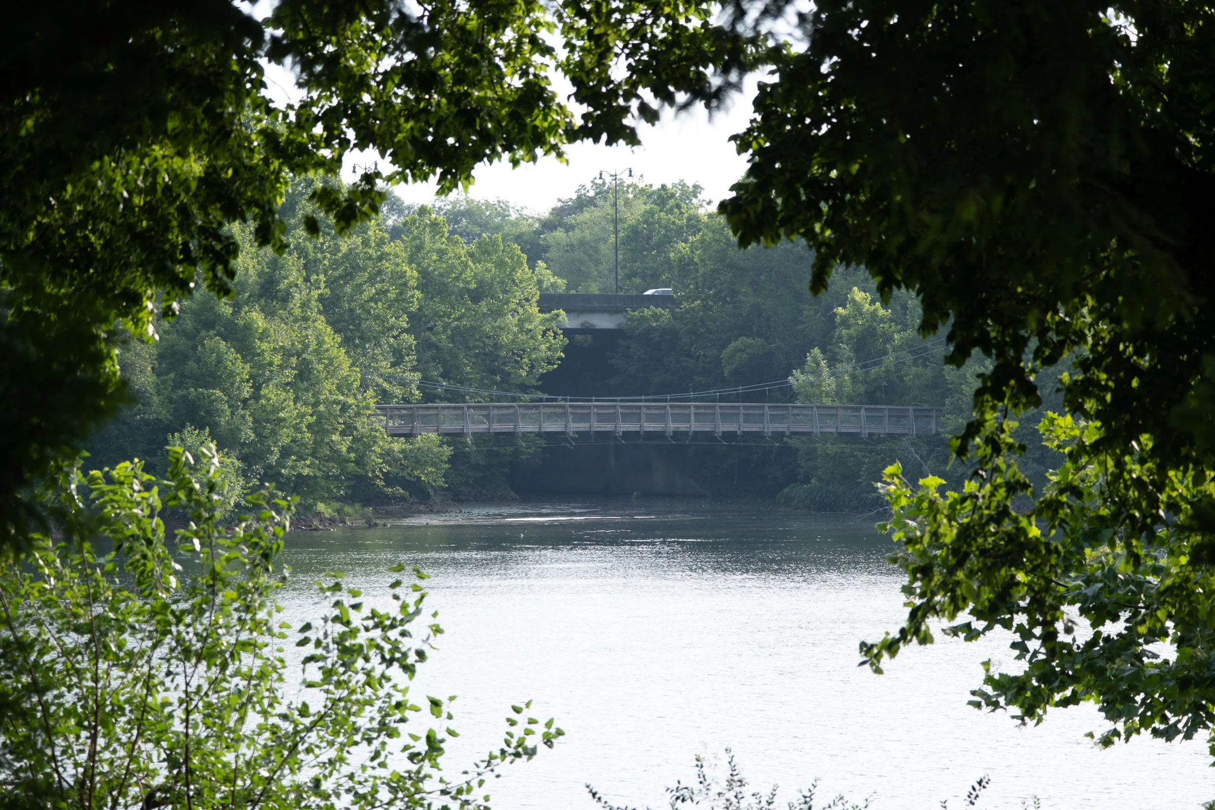DSCF1430.jpg