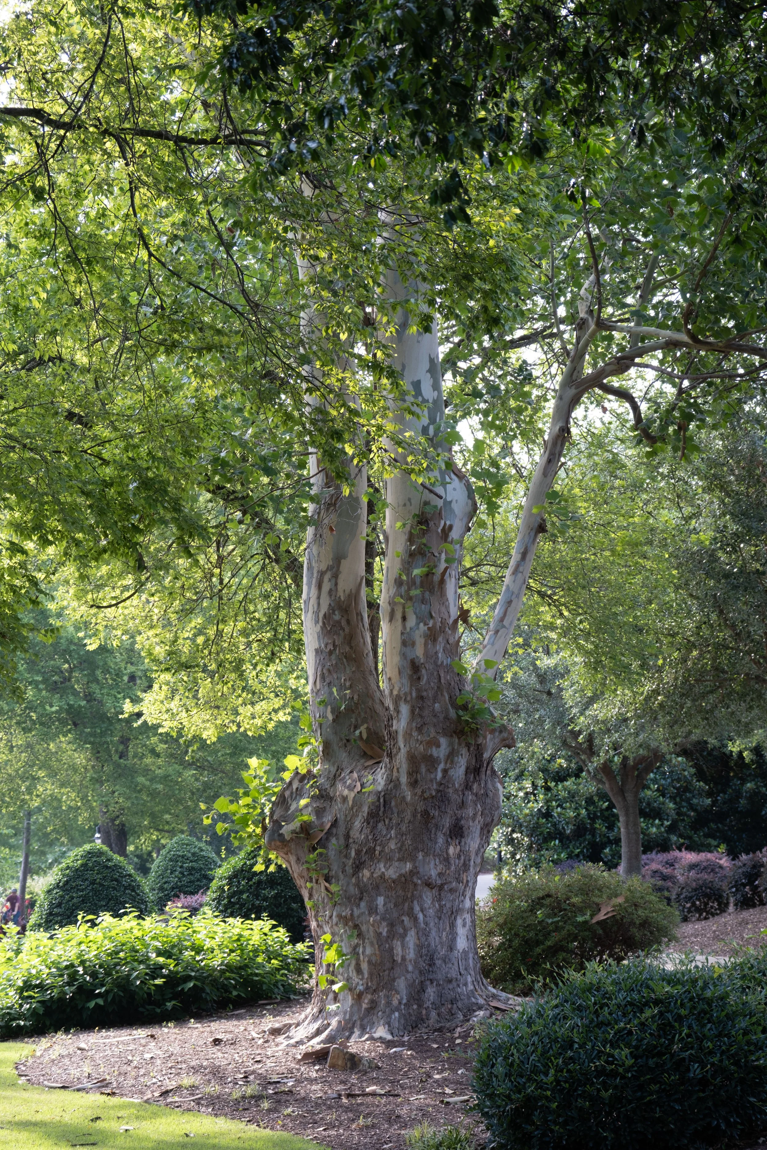 DSCF1418.jpg