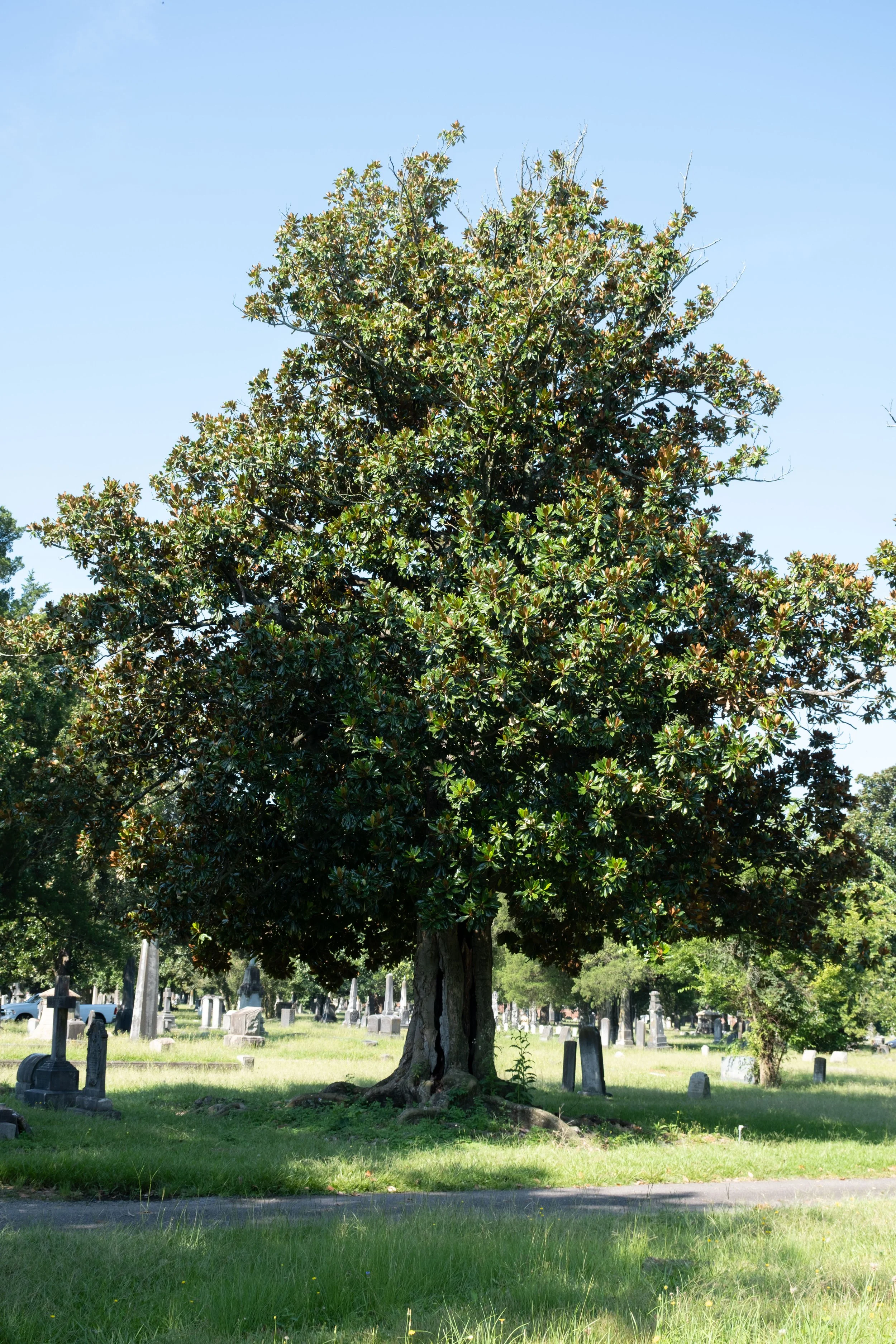 DSCF1491.jpg