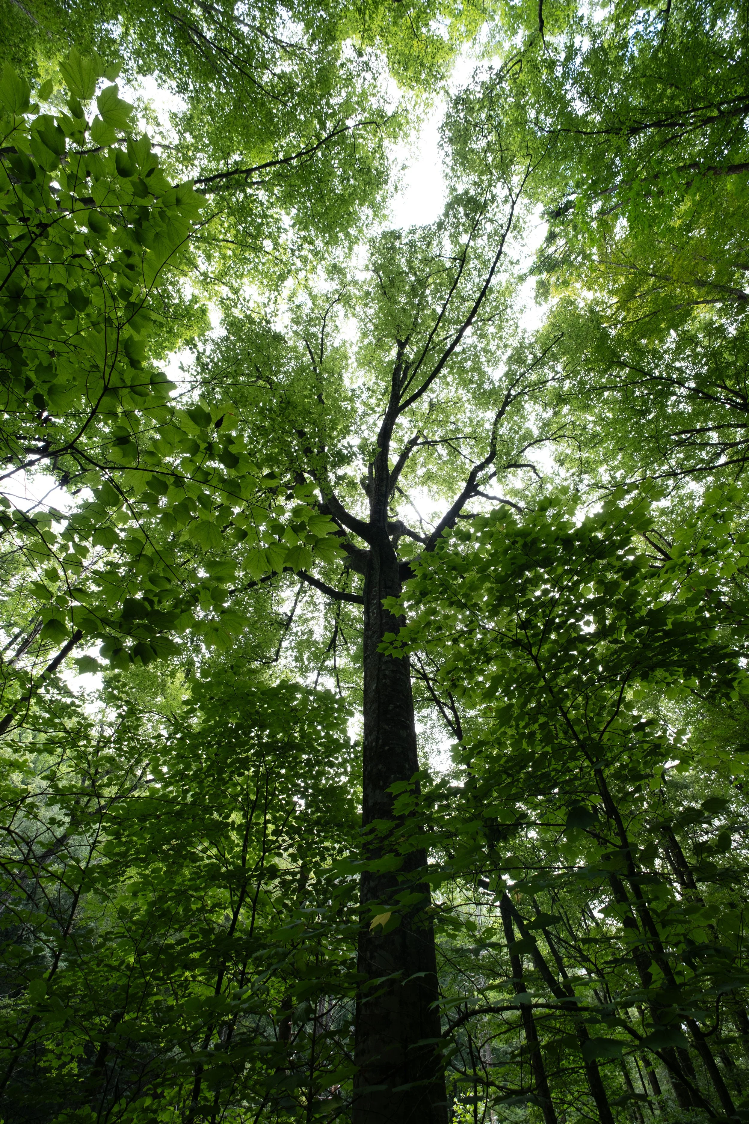 DSCF1592.jpg