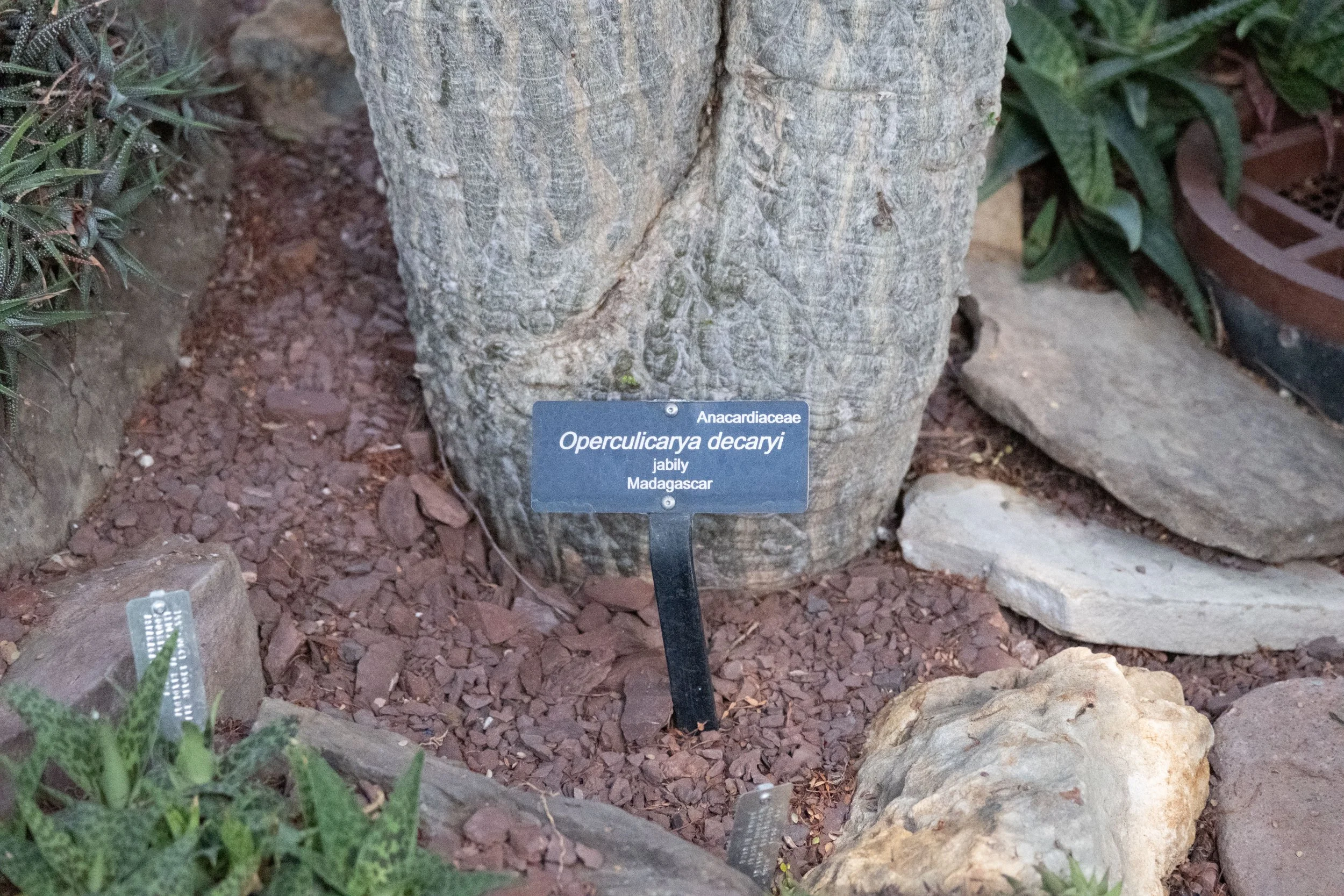 DSCF1880.jpg